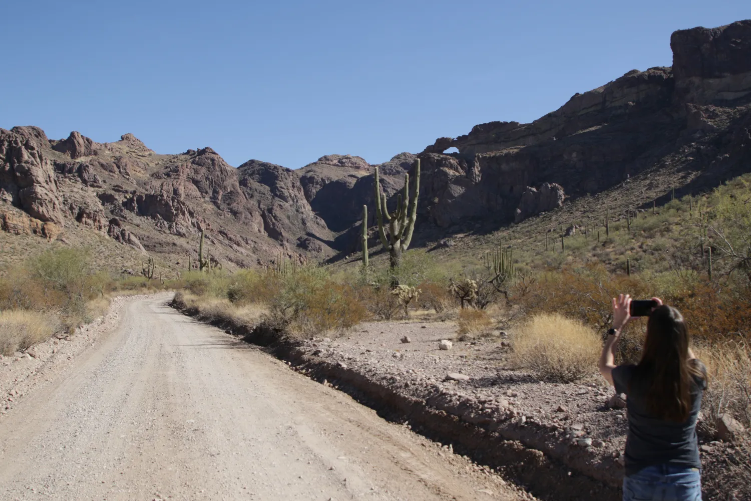 Arch Canyon Trail