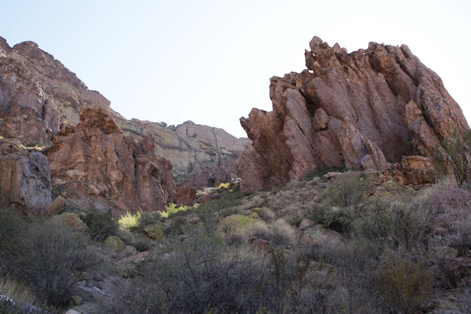 Arch Canyon Trail