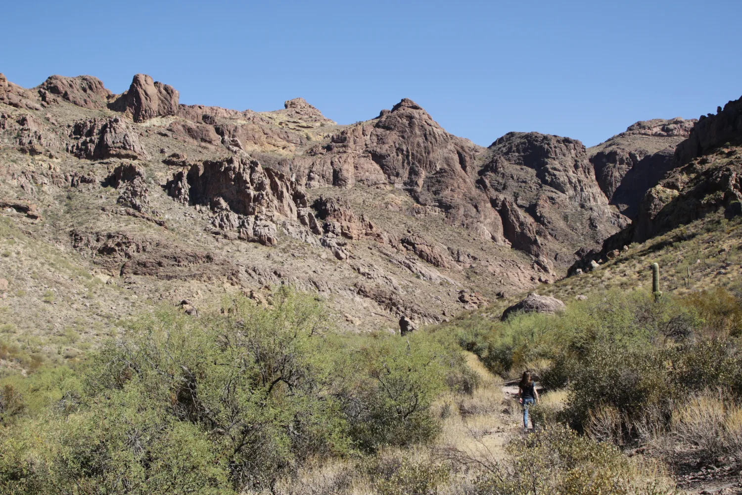 Arch Canyon Trail