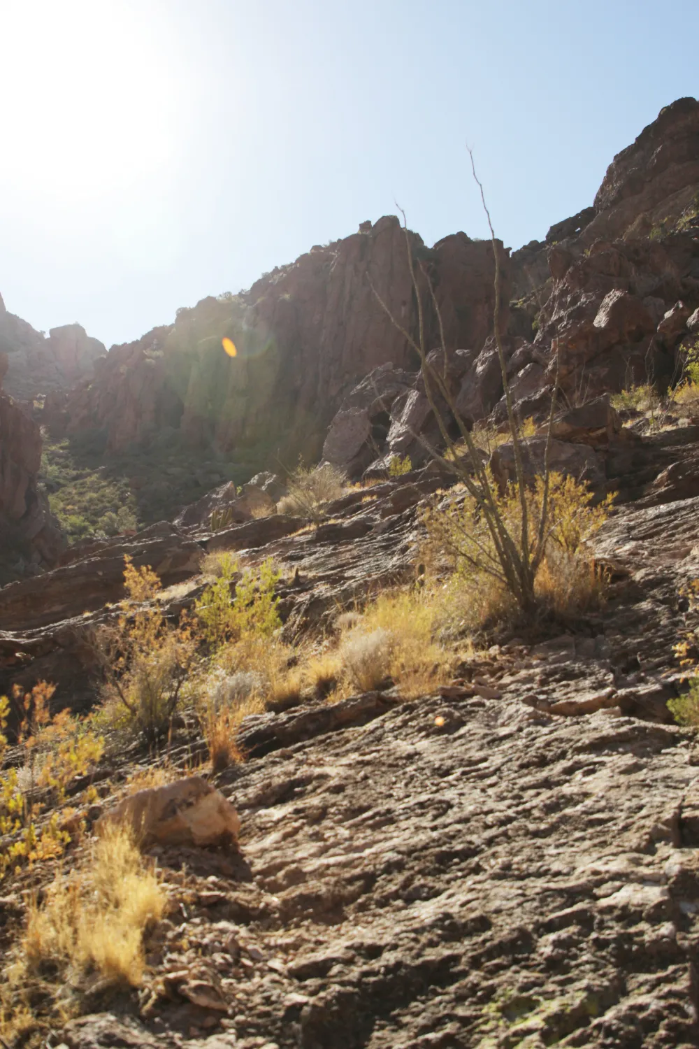 Arch Canyon Trail