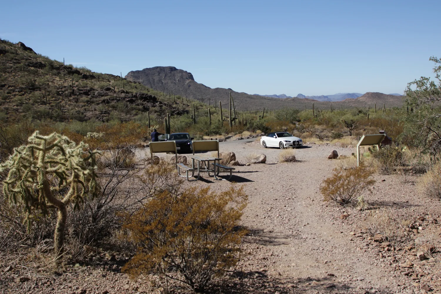 Arch Canyon Trail