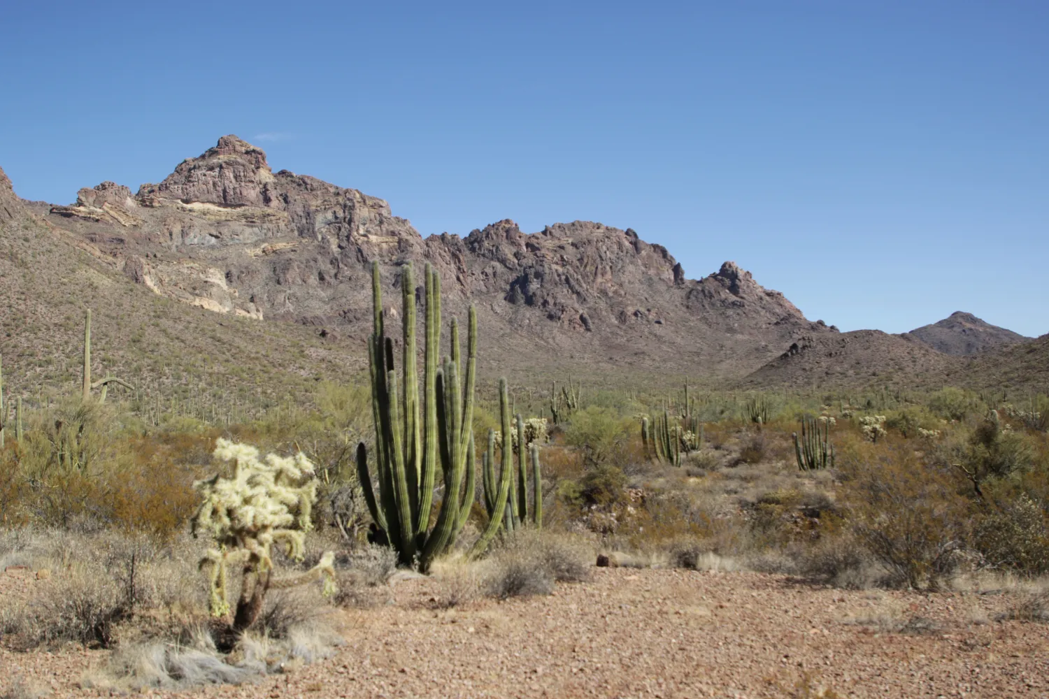 Arch Canyon Trail