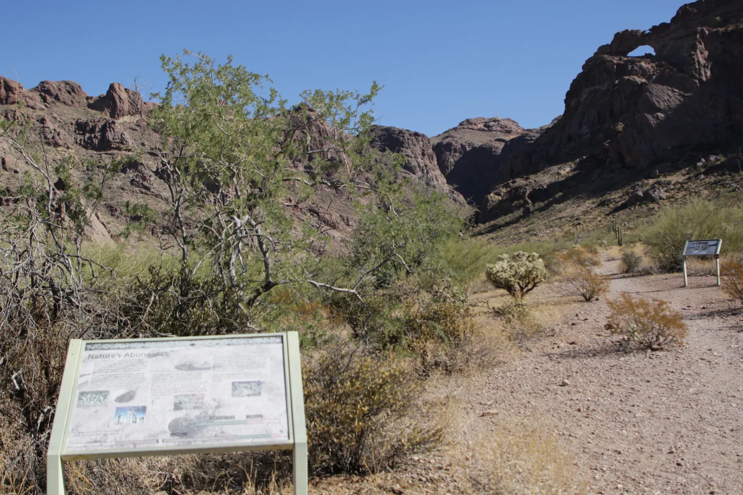 Arch Canyon Trail
