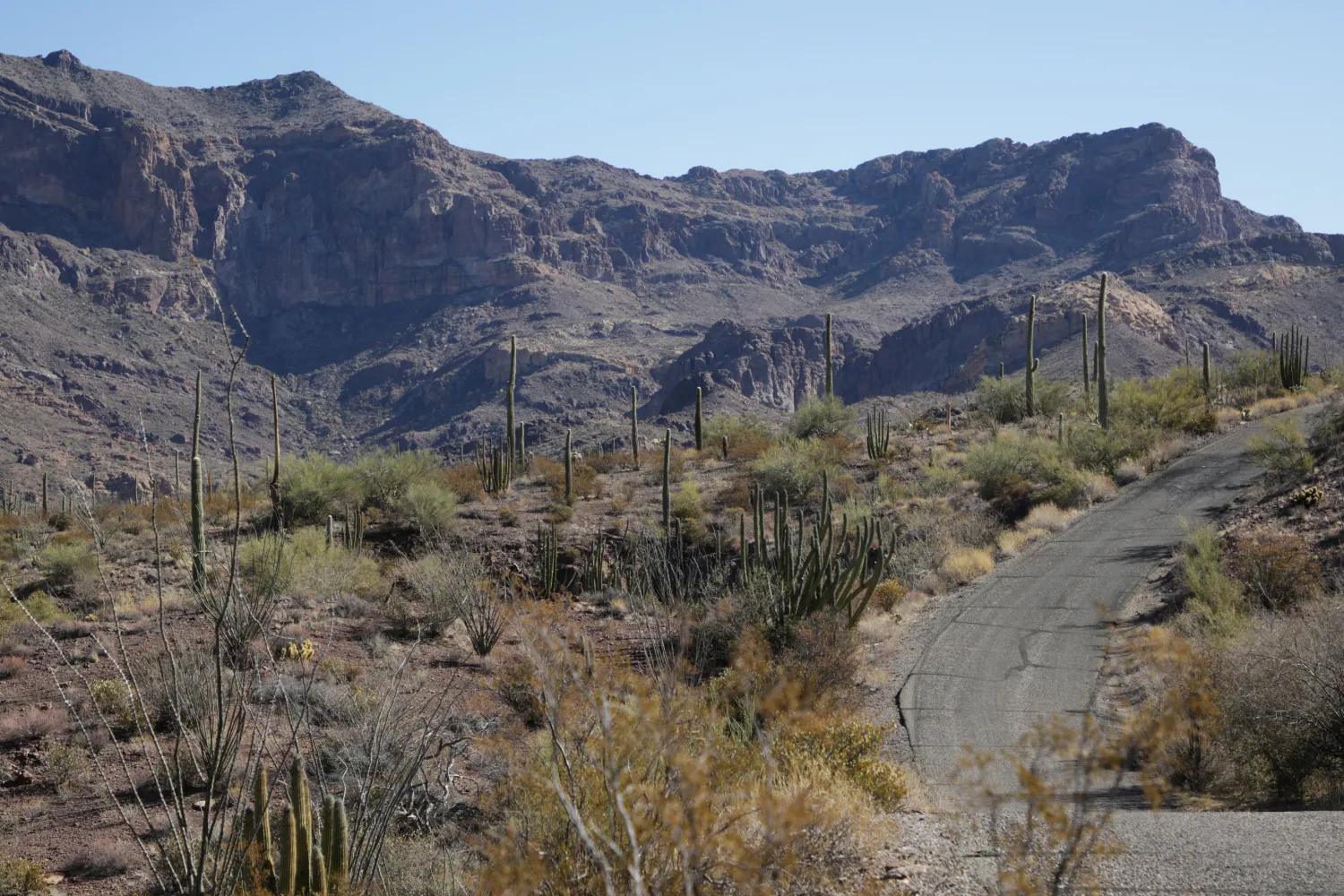 Arch Canyon Trail