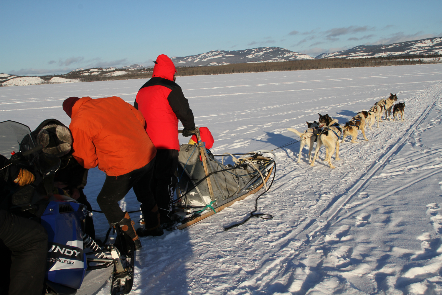 Dog Sledding on Lake Laberge