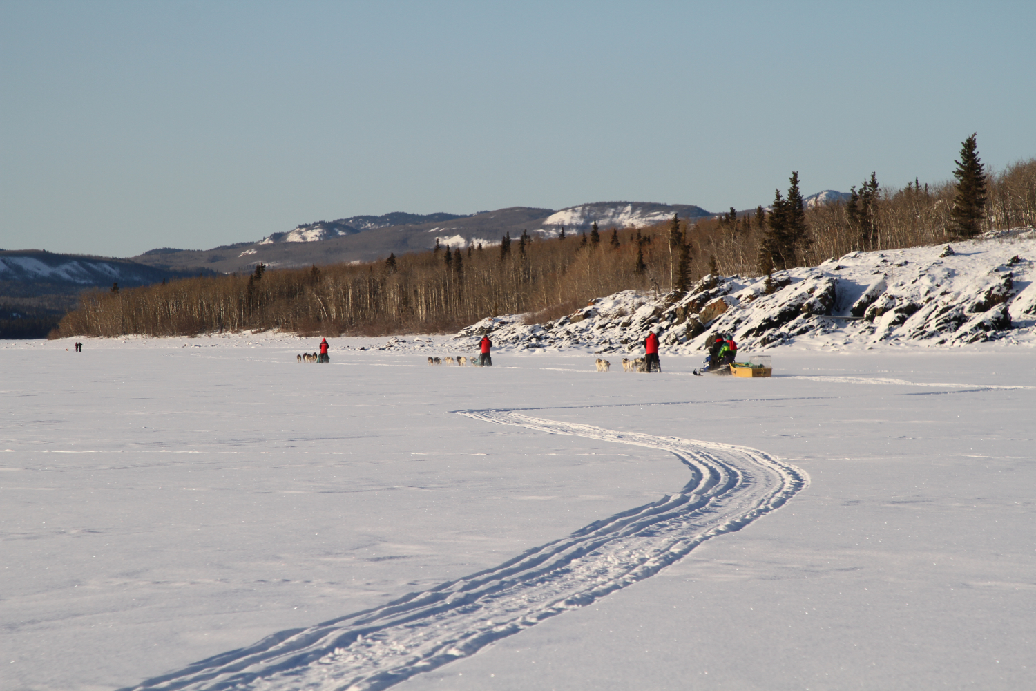 Dog Sledding on Lake Laberge