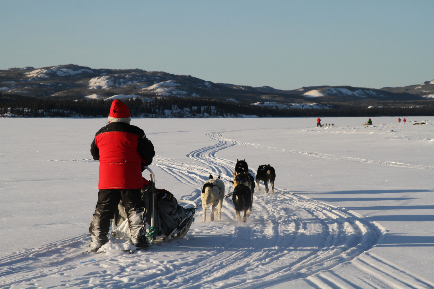 Dog Sledding on Lake Laberge