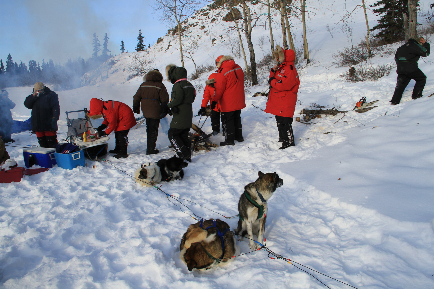Dog Sledding on Lake Laberge