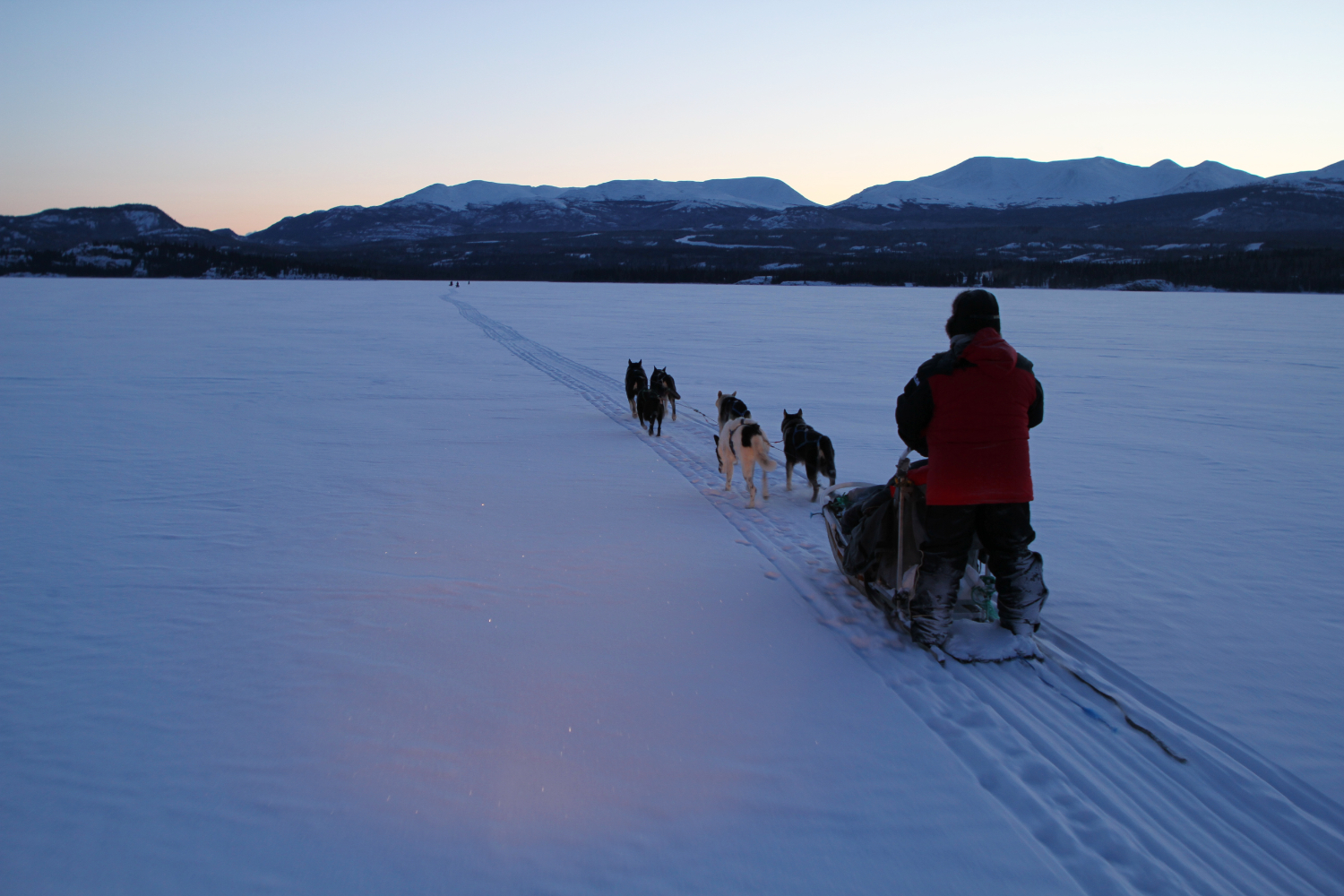 Dog Sledding on Lake Laberge