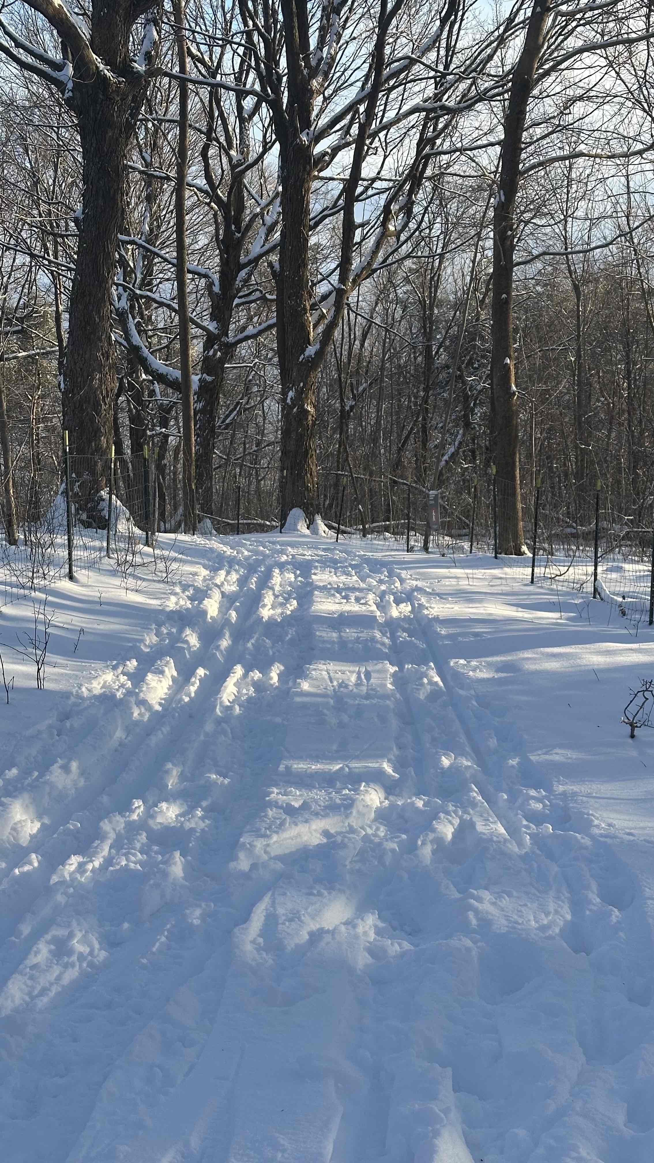 Mount Royal