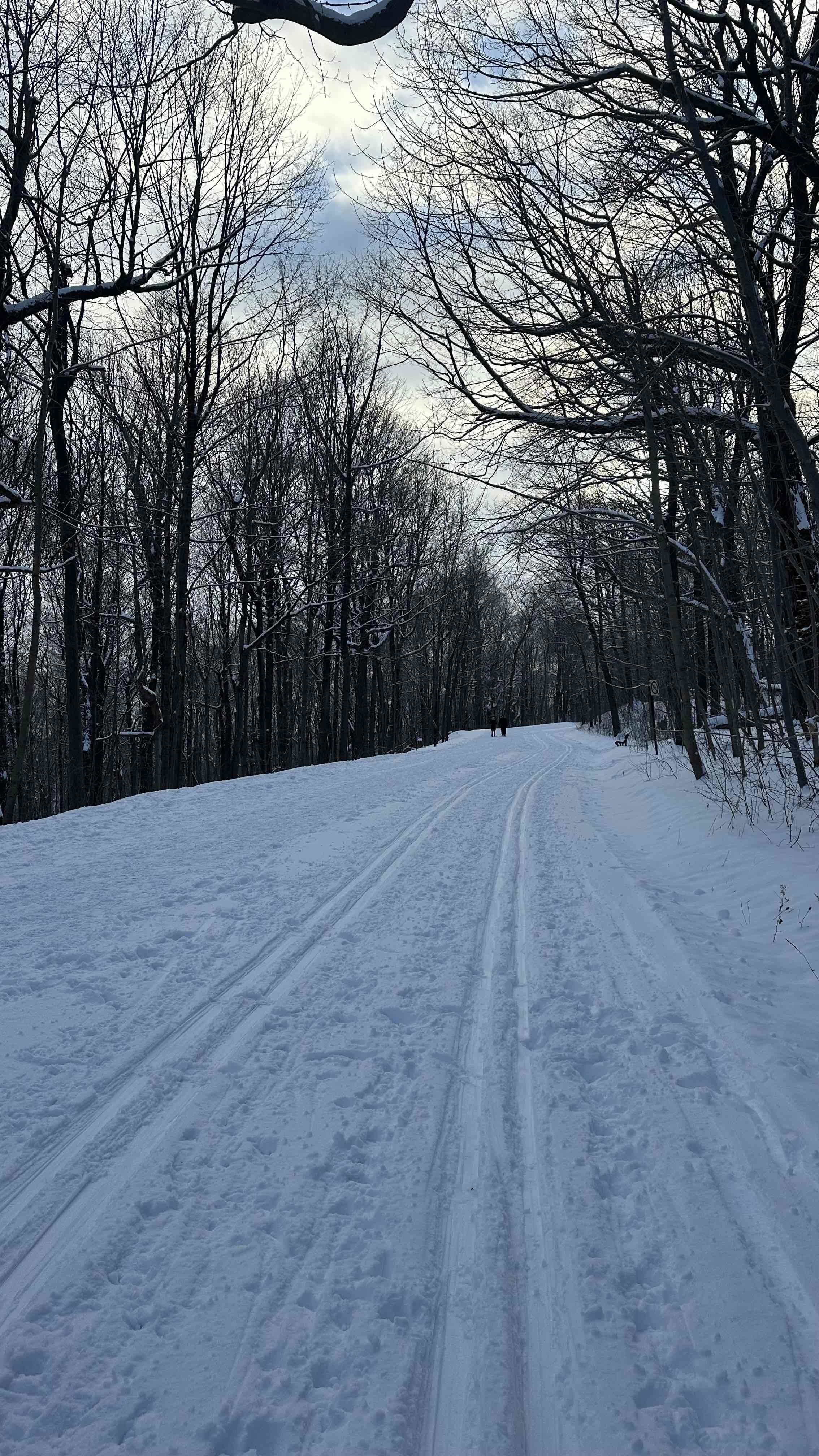 Mount Royal