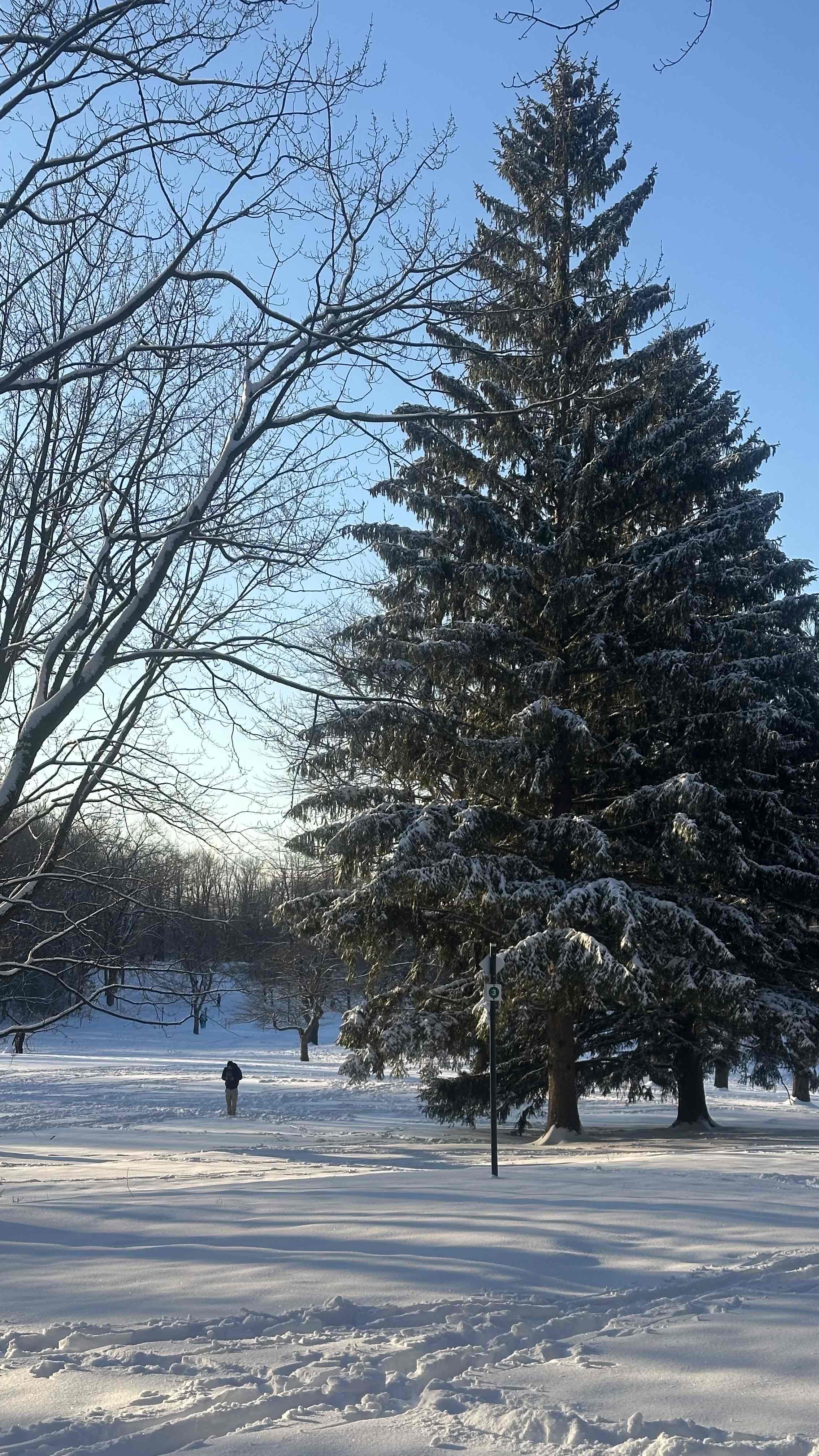 Mount Royal