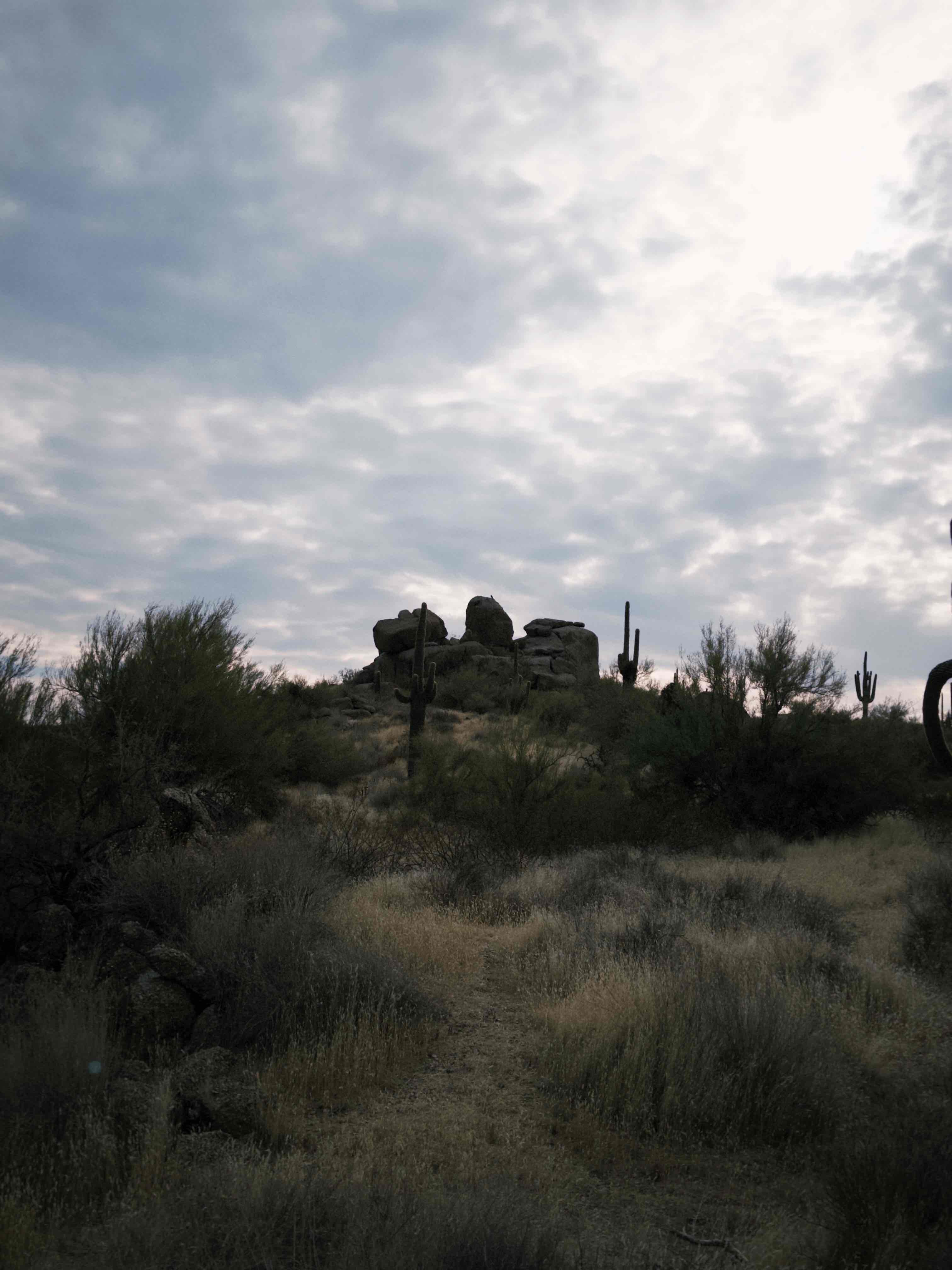 Jane Rau Trail 