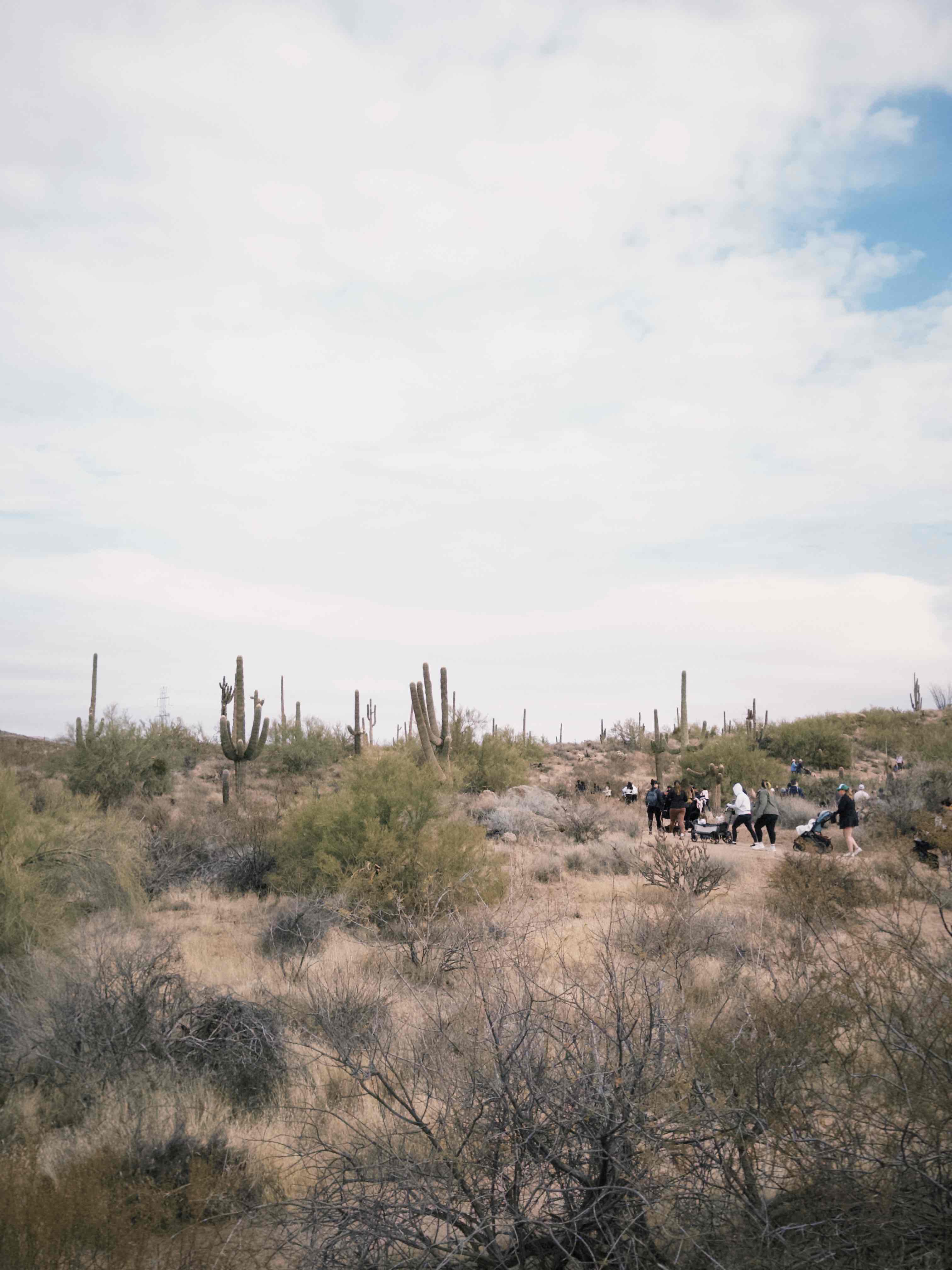 Jane Rau Trail 