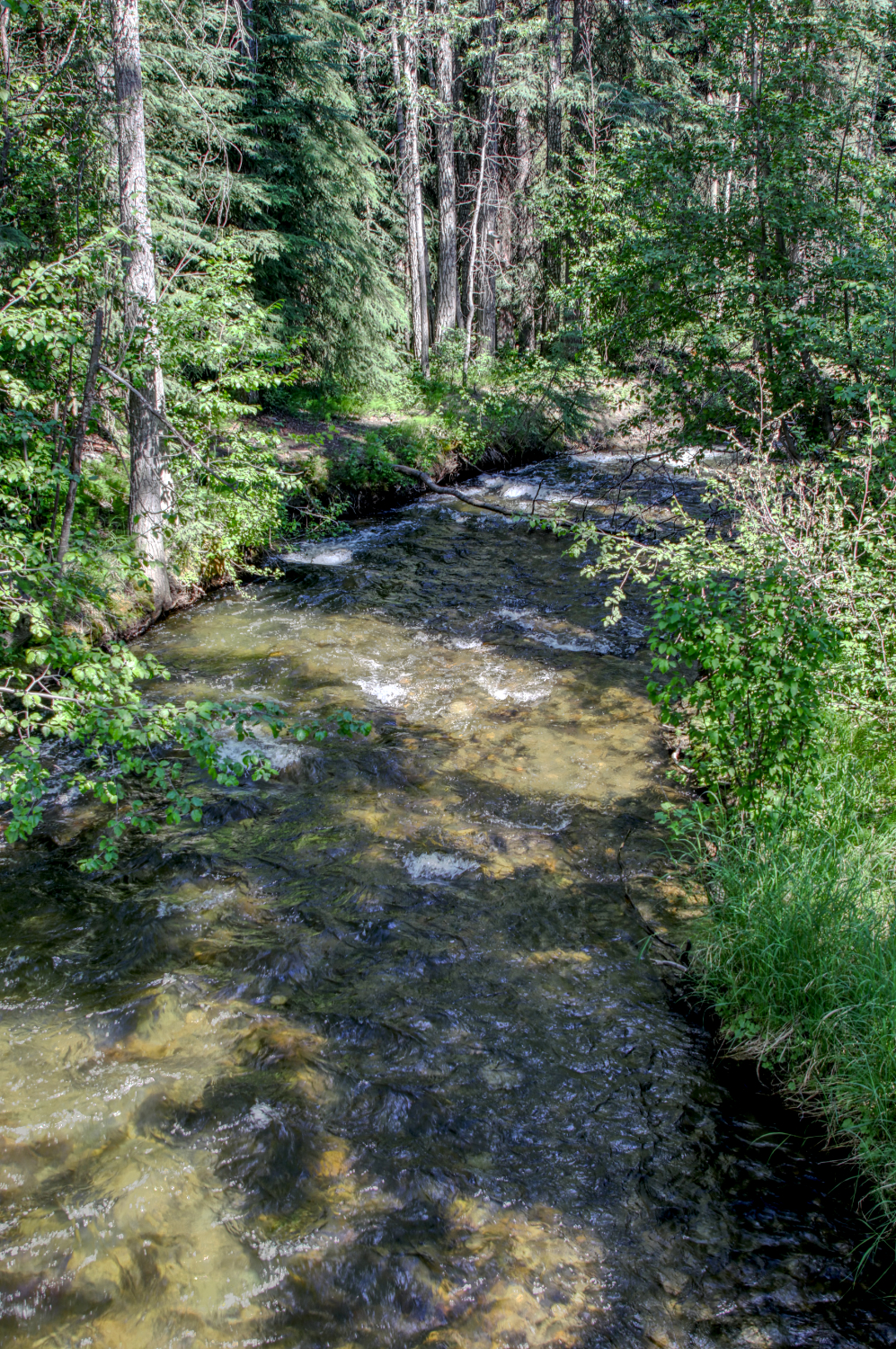 Year-round hiking at Wolf Creek Campground, Whitehorse, Yukon
