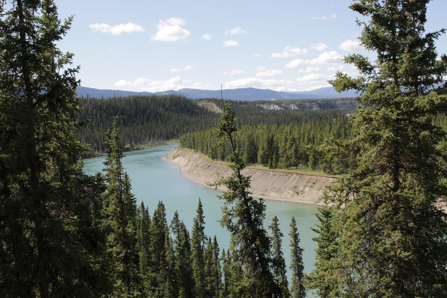 Year-round hiking at Wolf Creek Campground, Whitehorse, Yukon