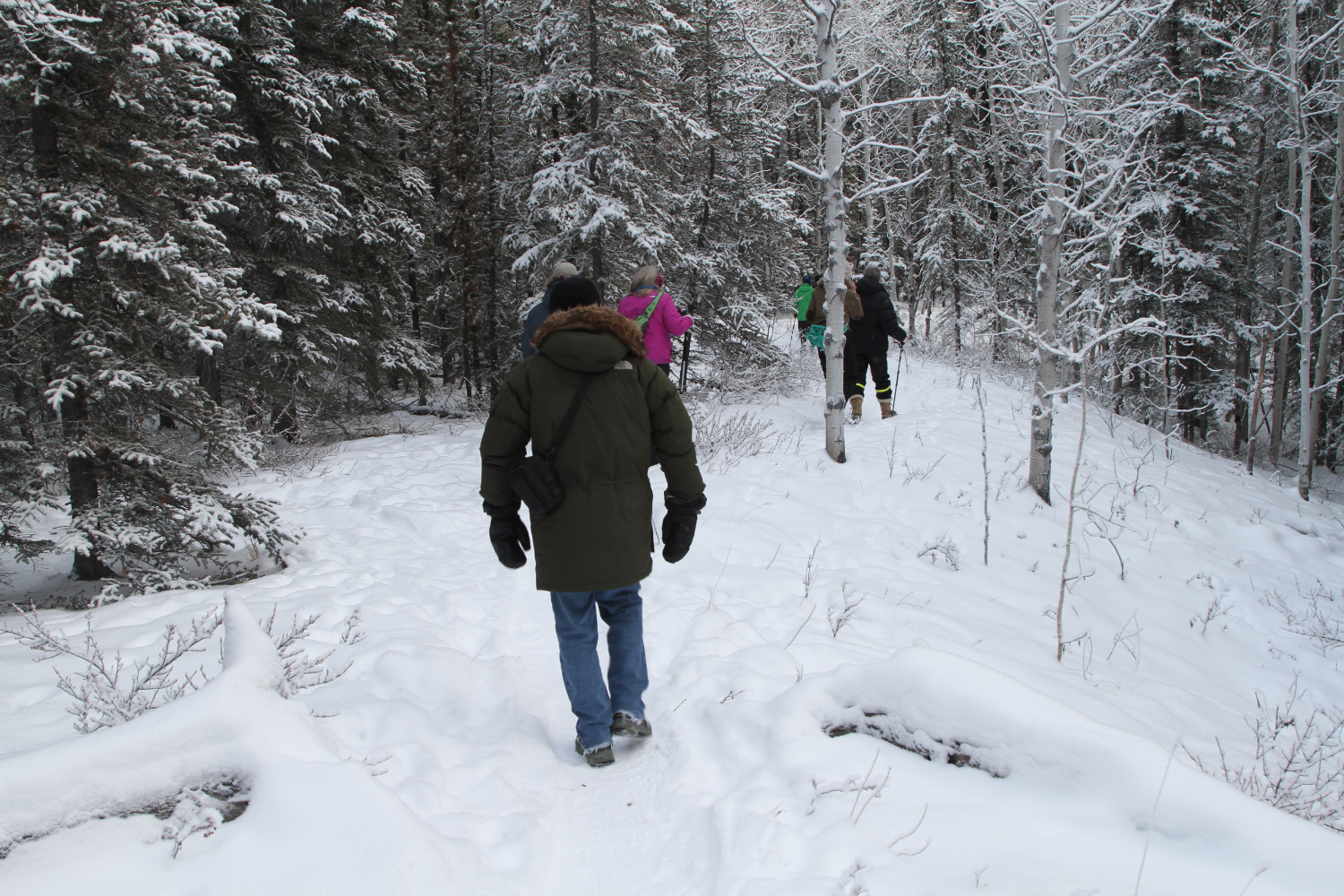 Year-round hiking at Wolf Creek Campground, Whitehorse, Yukon