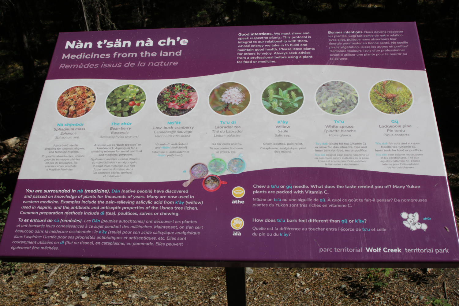 Year-round hiking at Wolf Creek Campground, Whitehorse, Yukon
