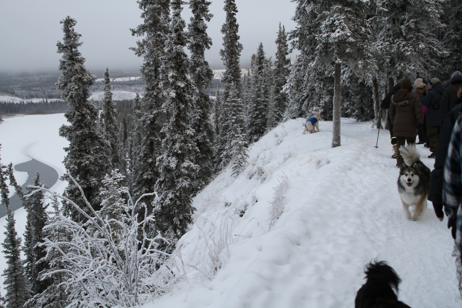 Year-round hiking at Wolf Creek Campground, Whitehorse, Yukon