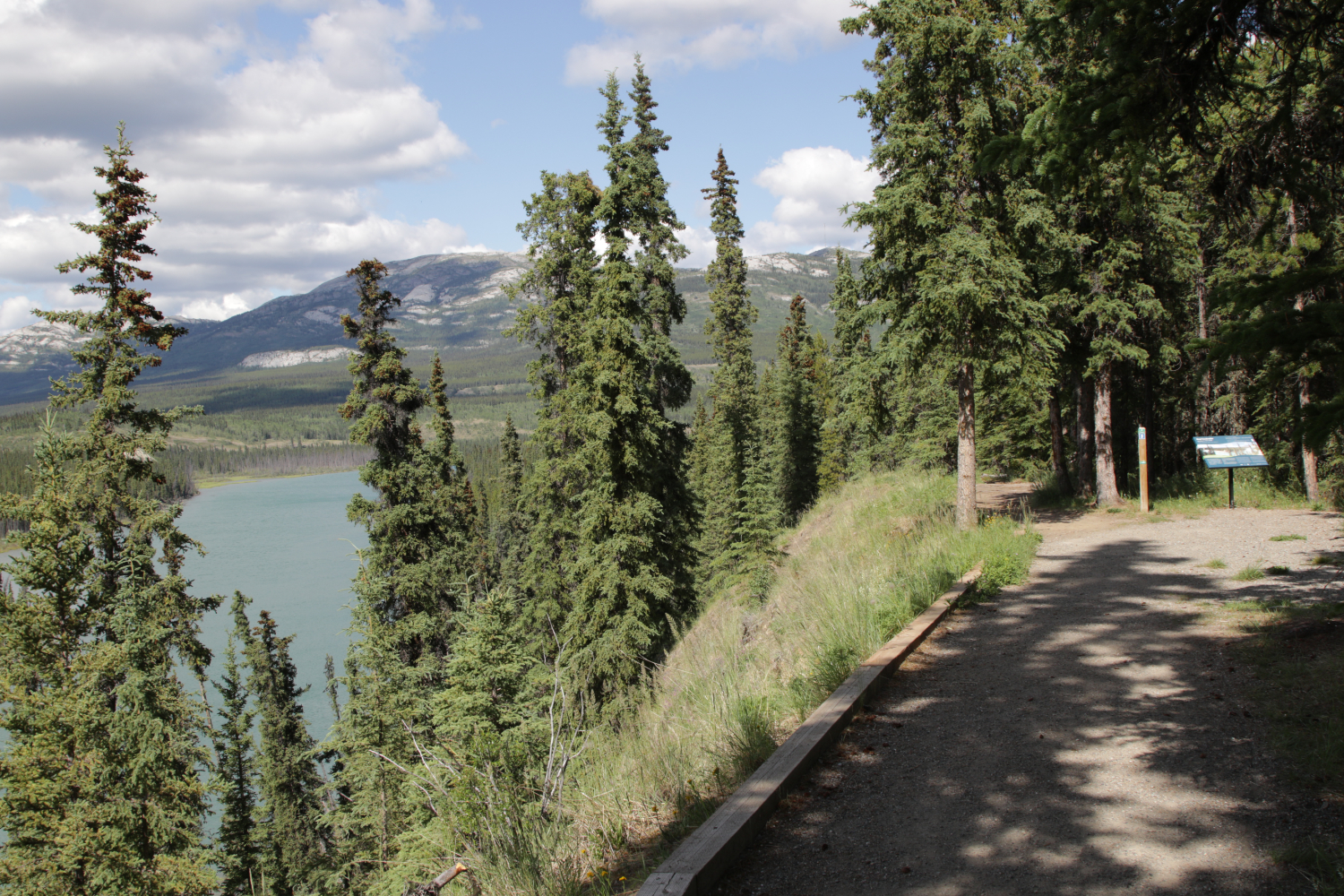 Year-round hiking at Wolf Creek Campground, Whitehorse, Yukon