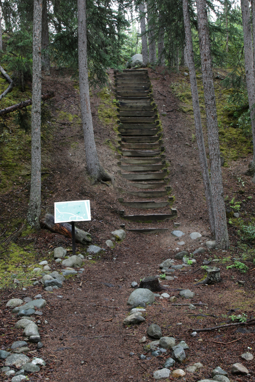 Year-round hiking at Wolf Creek Campground, Whitehorse, Yukon