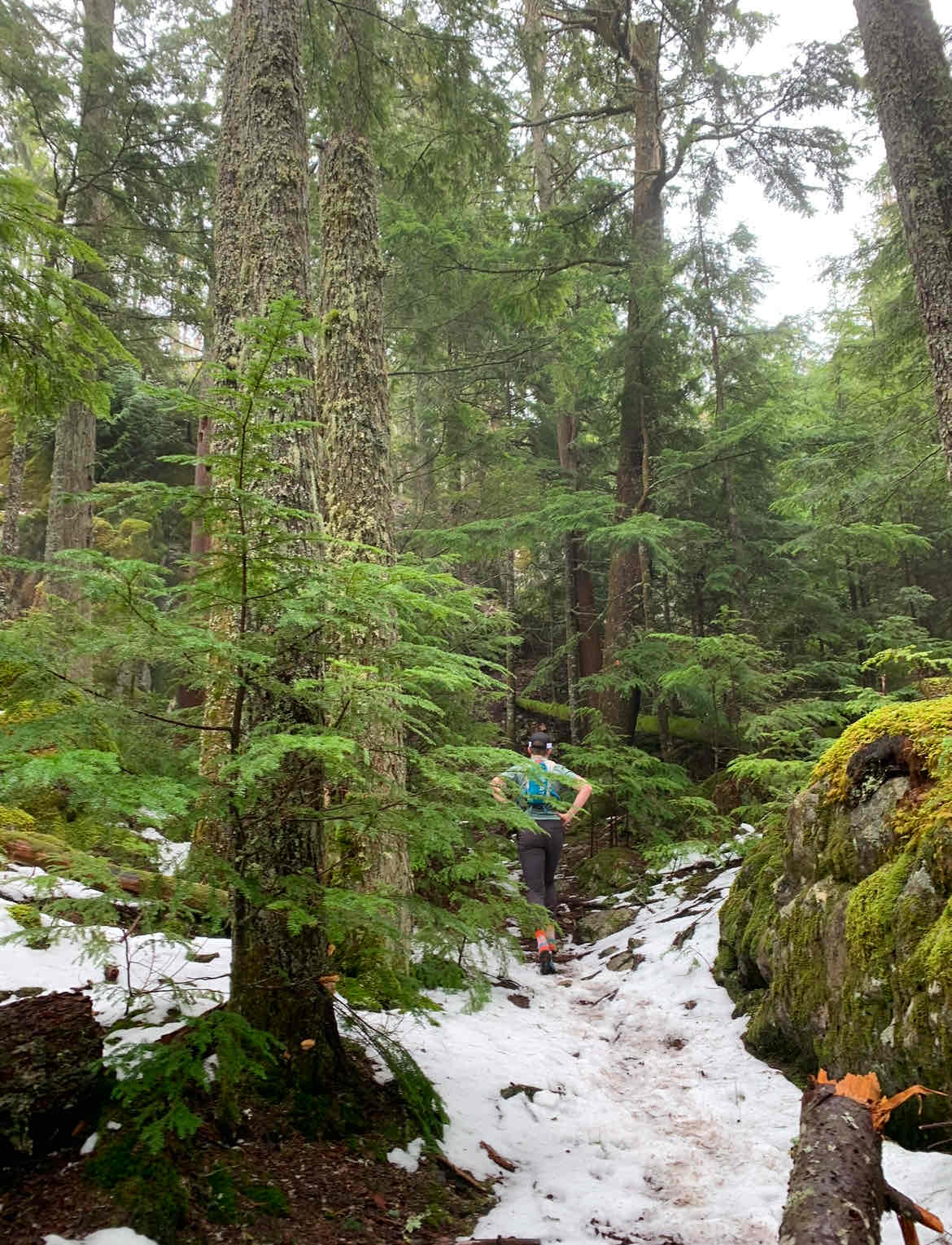 Hike Mount Gardner on Bowen Island