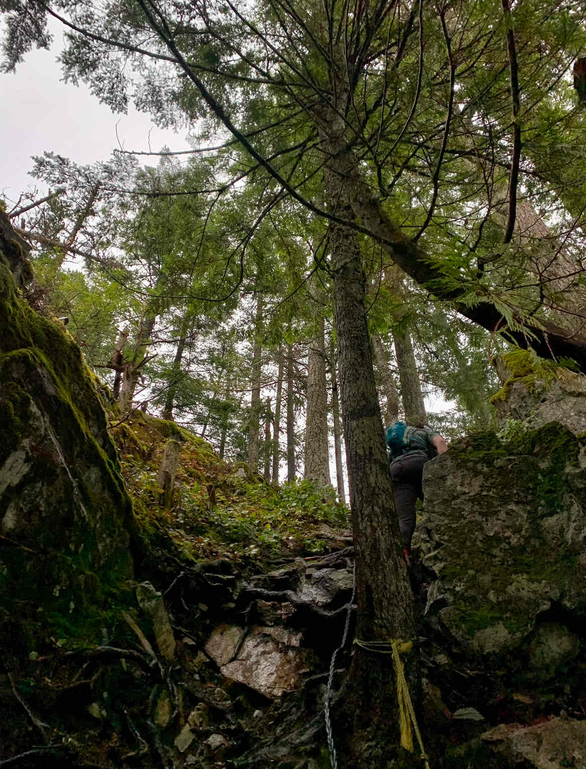 Hike Mount Gardner on Bowen Island