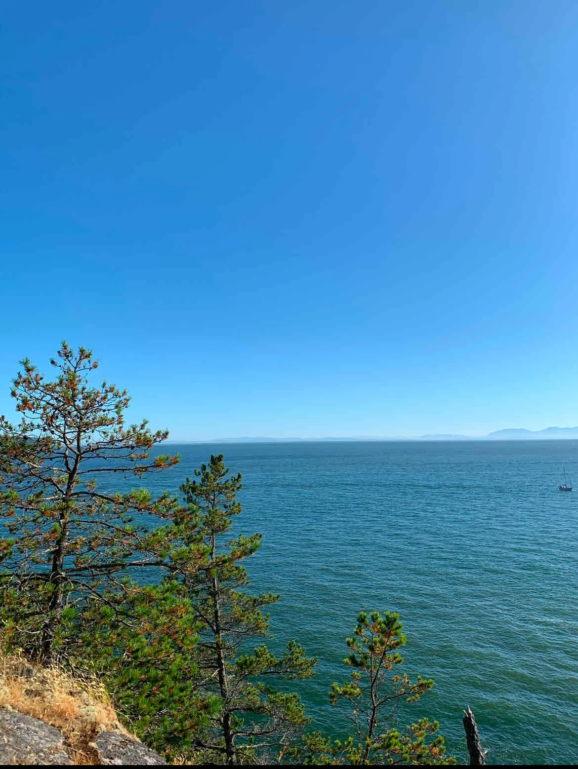 Explore Lighthouse Park