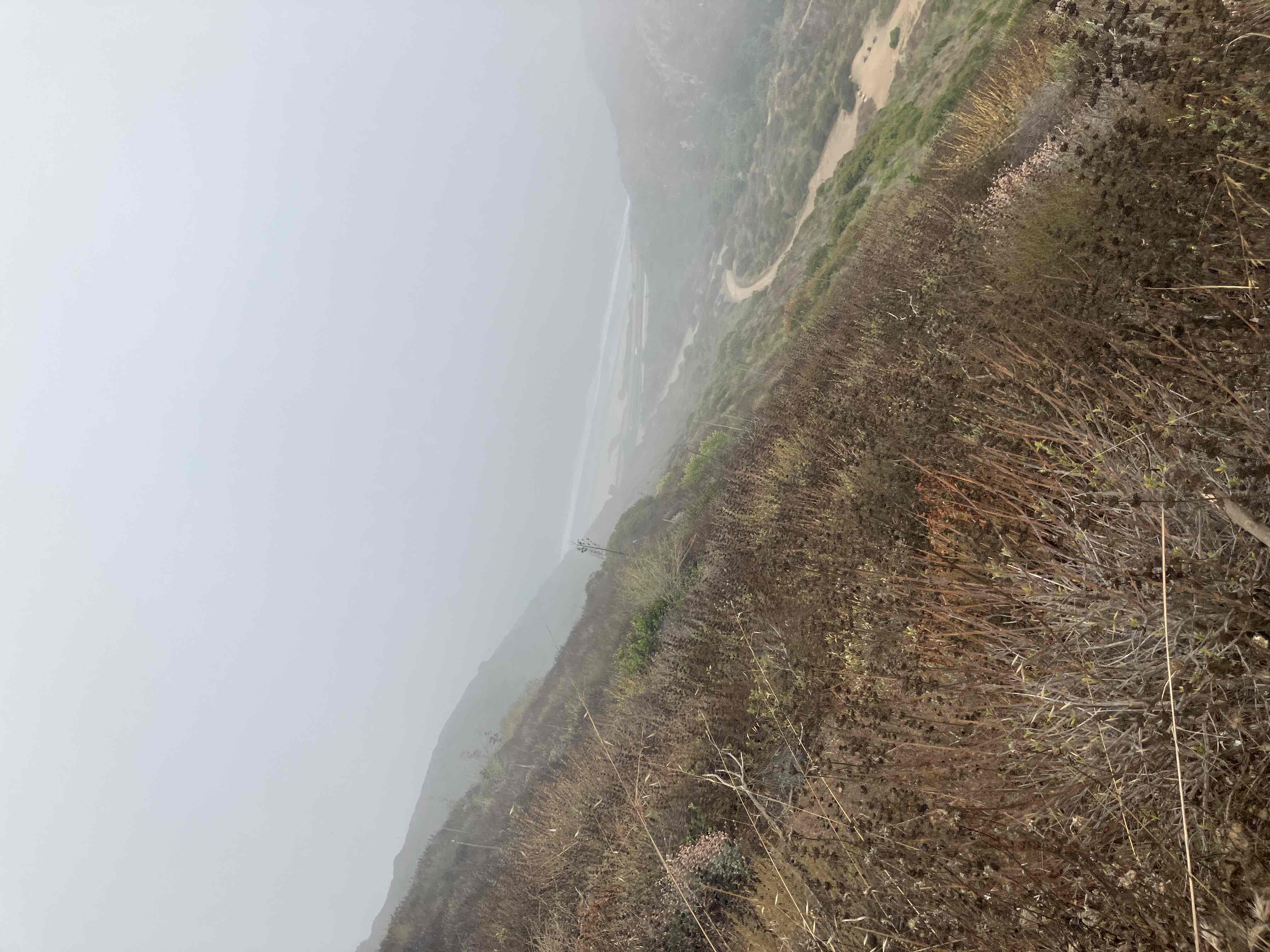 Sycamore Canyon Falls