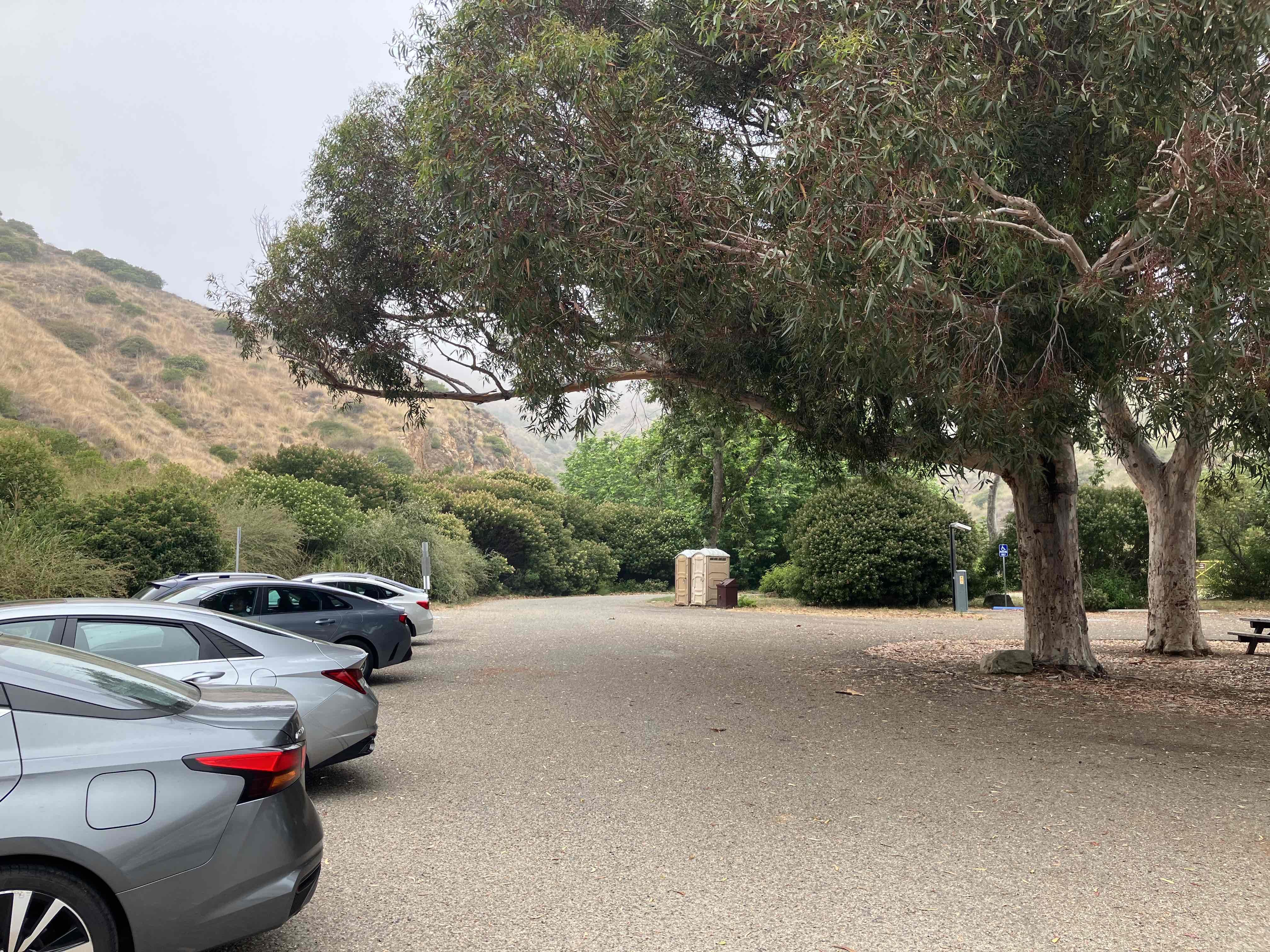 Sycamore Canyon Falls