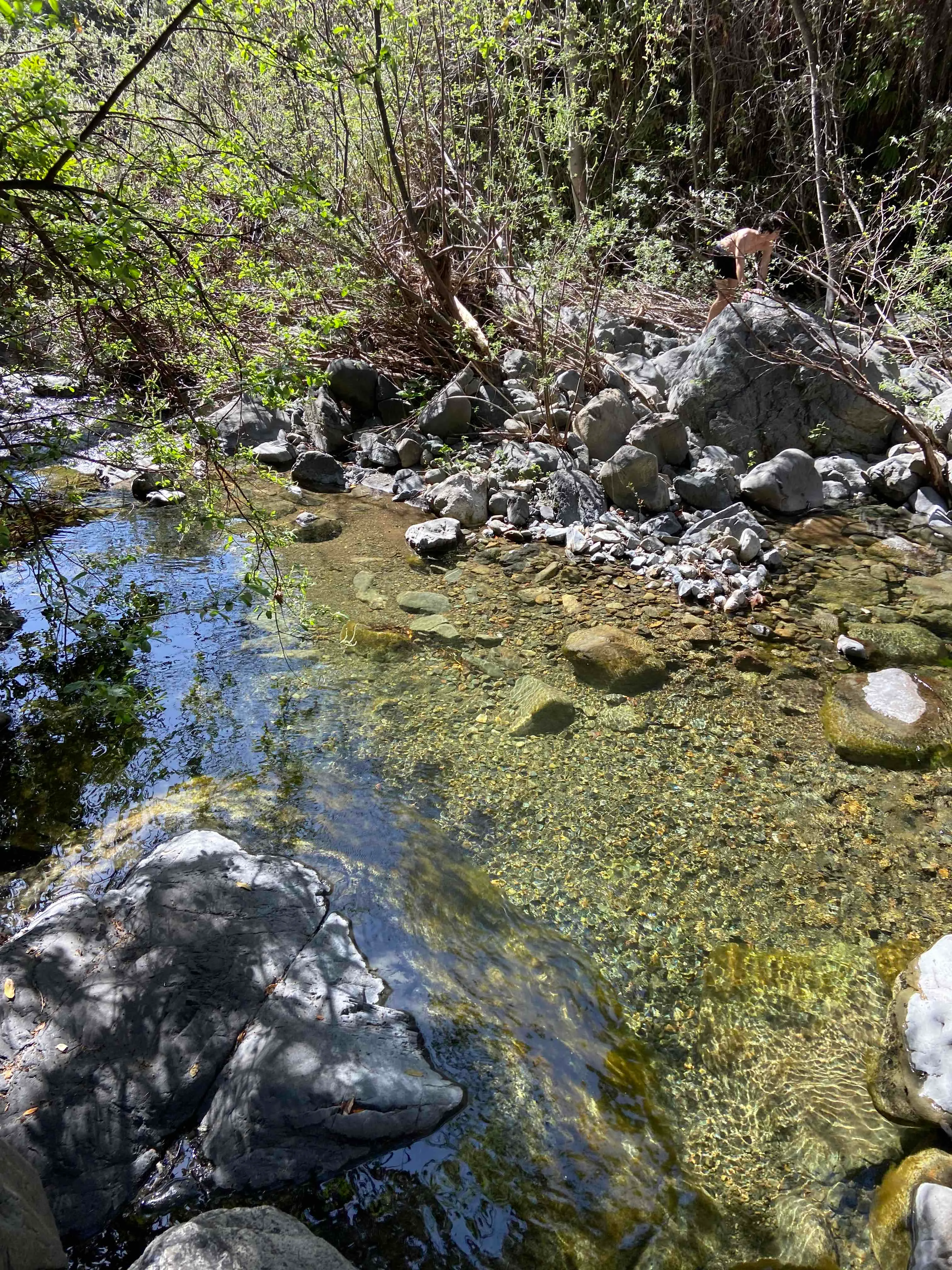 Salmon Creek Falls