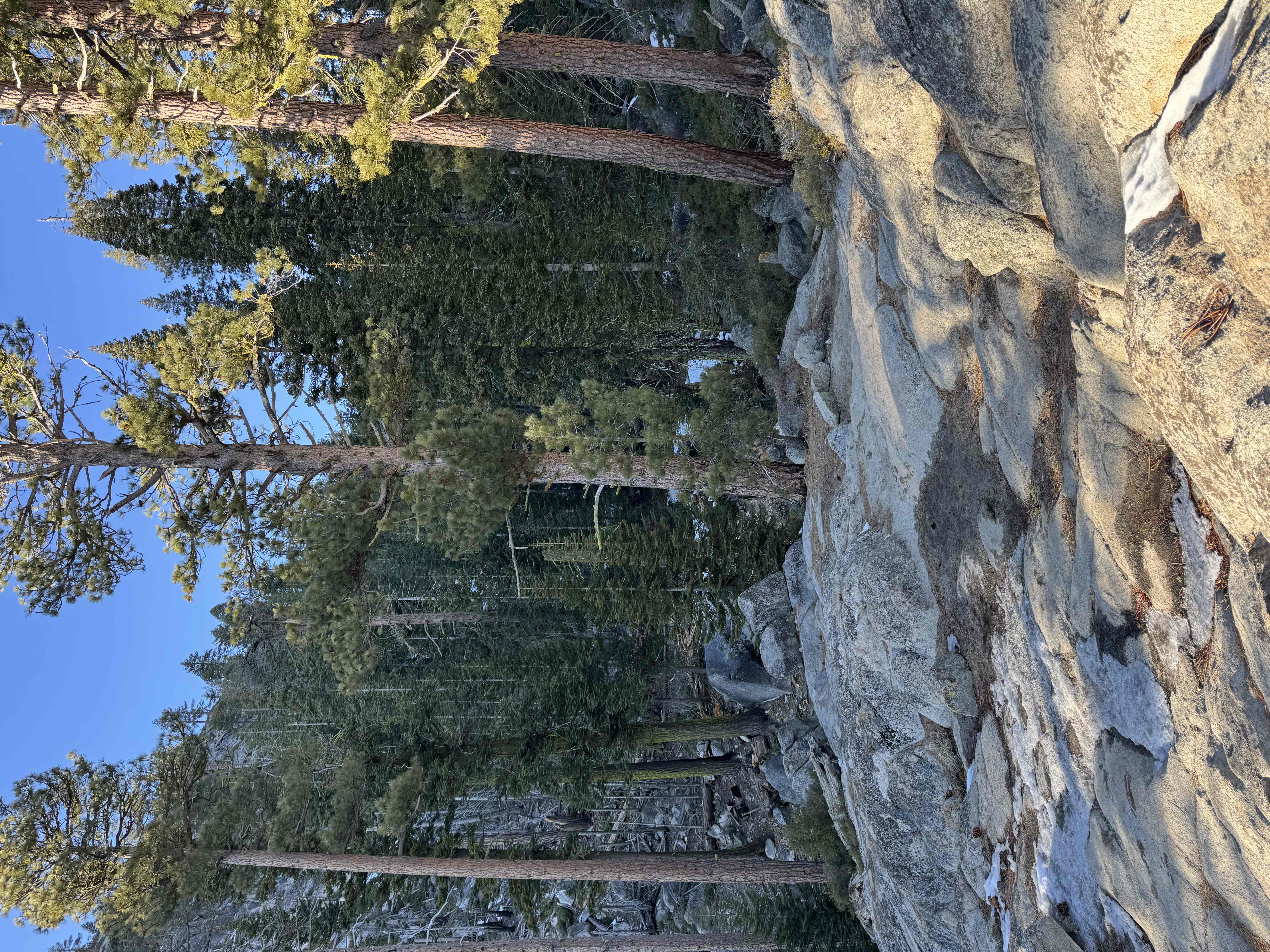 Yosemite Point