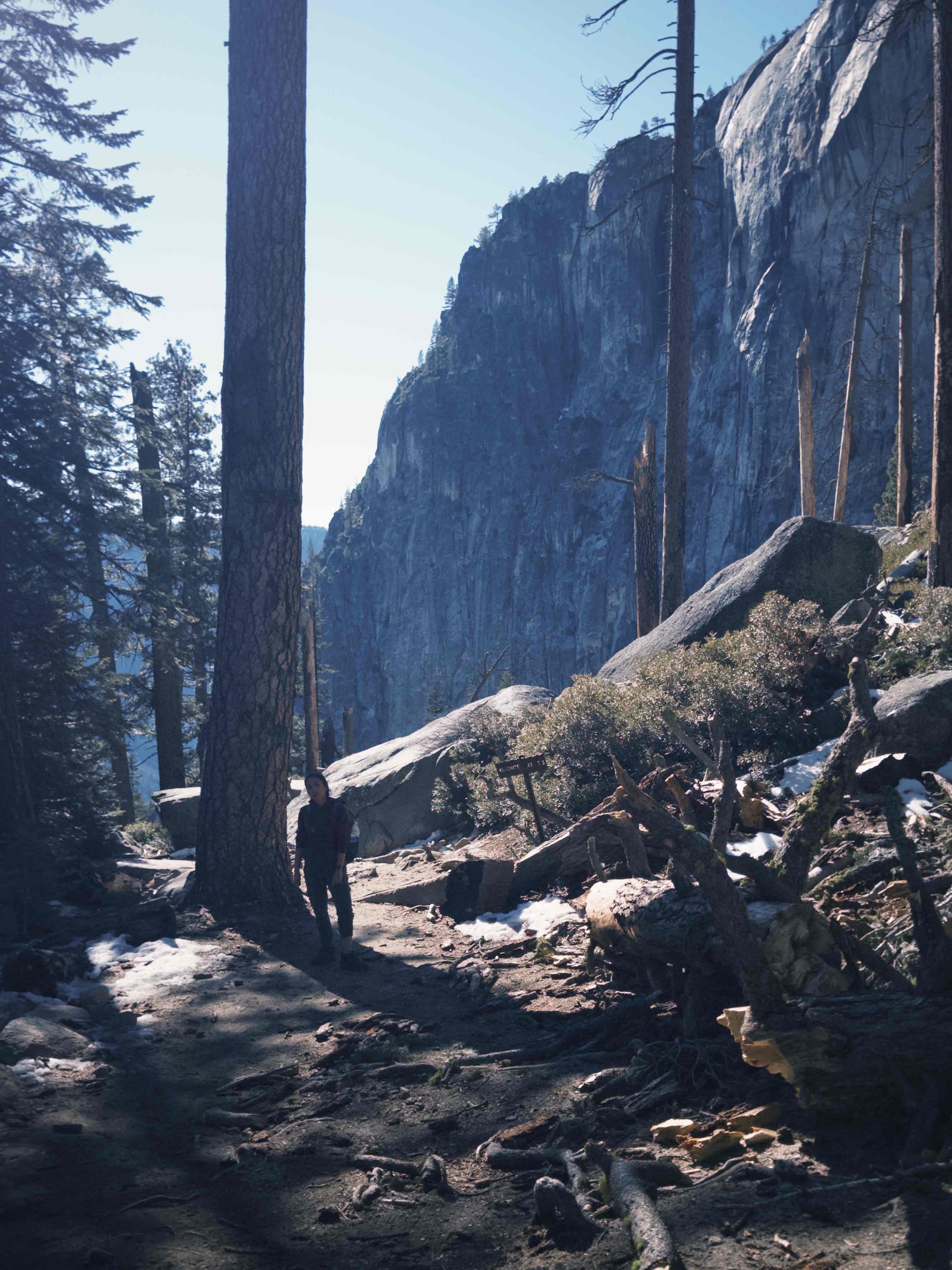 Yosemite Point