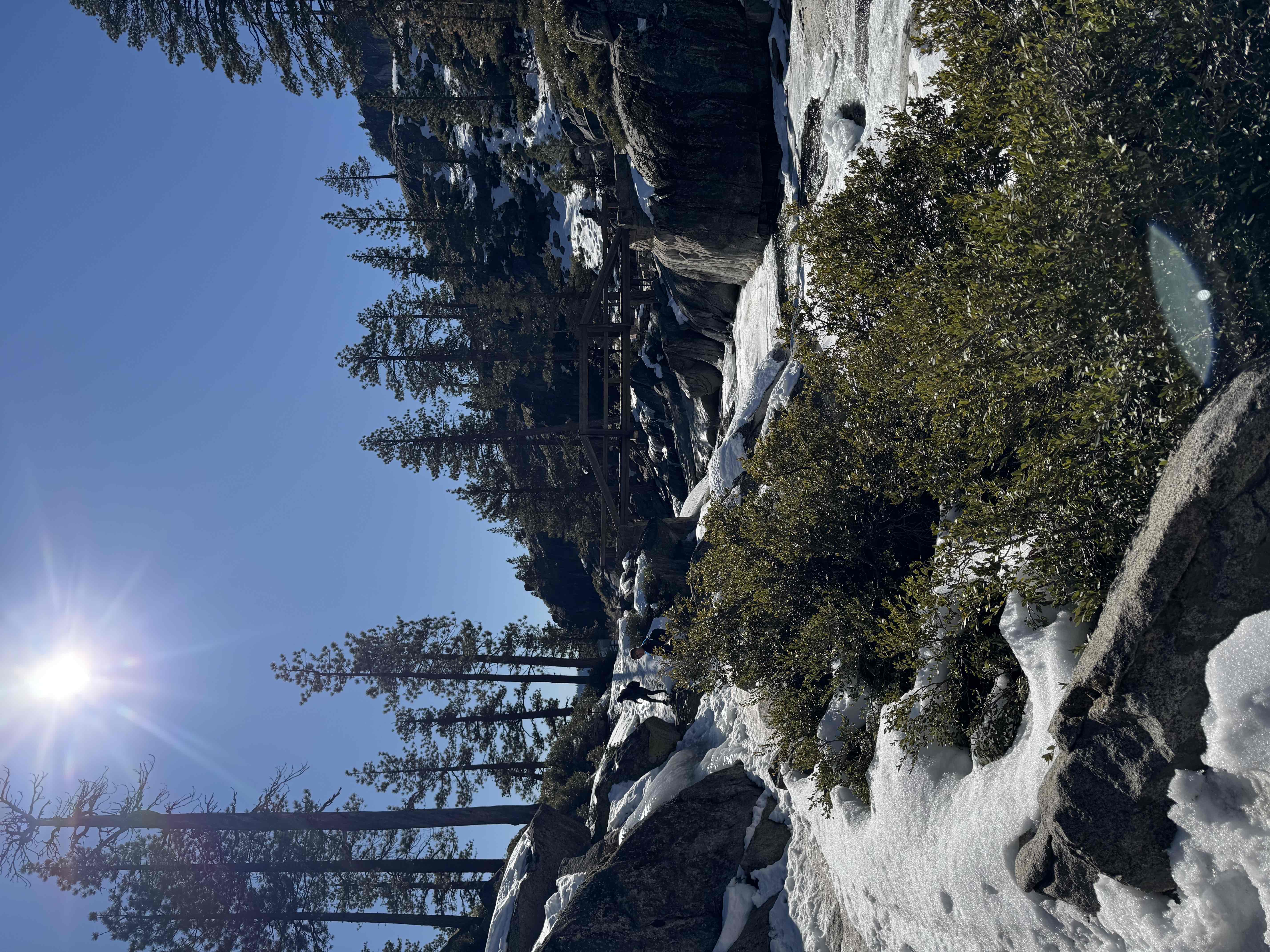 Yosemite Point