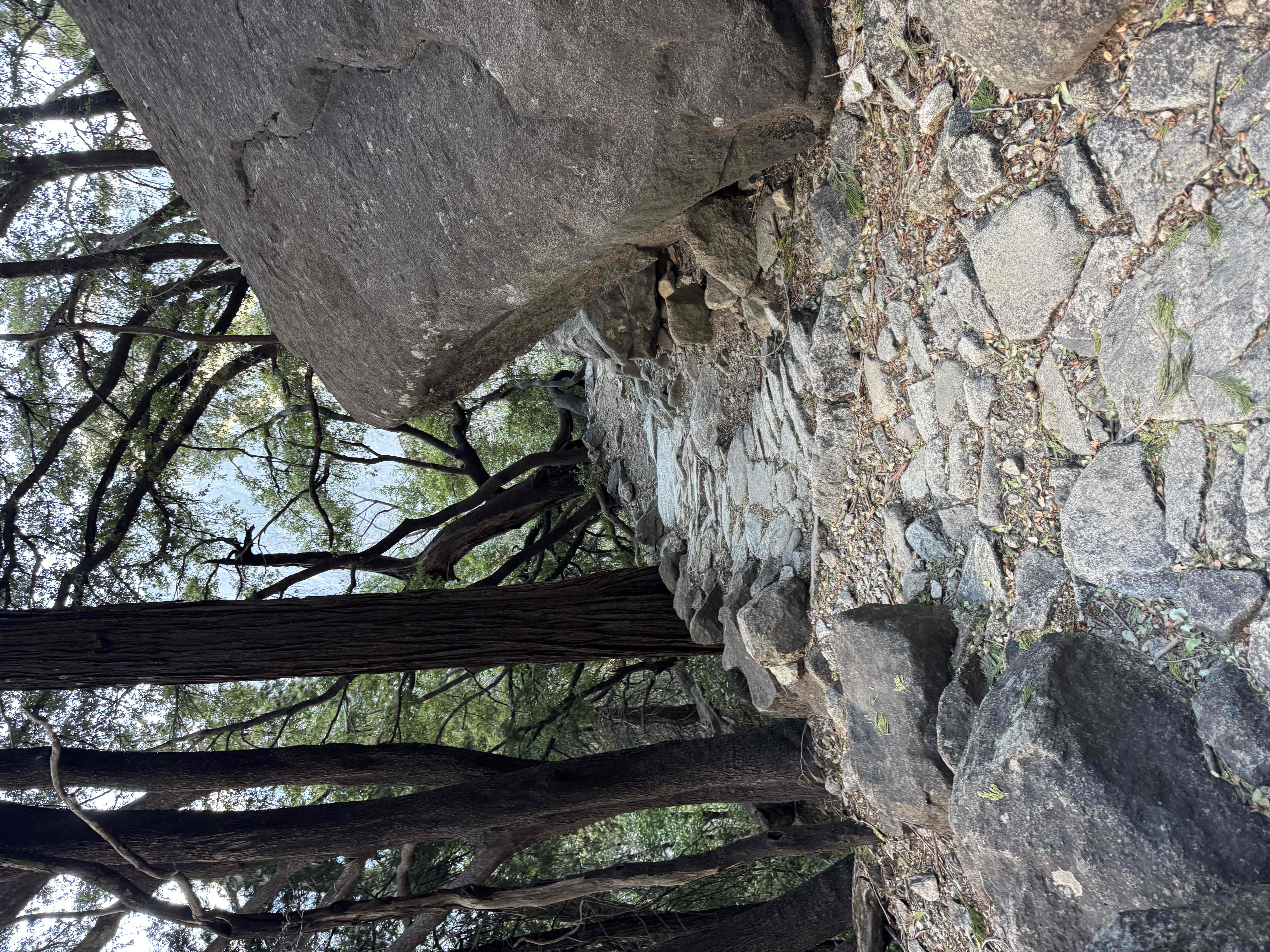 Yosemite Point