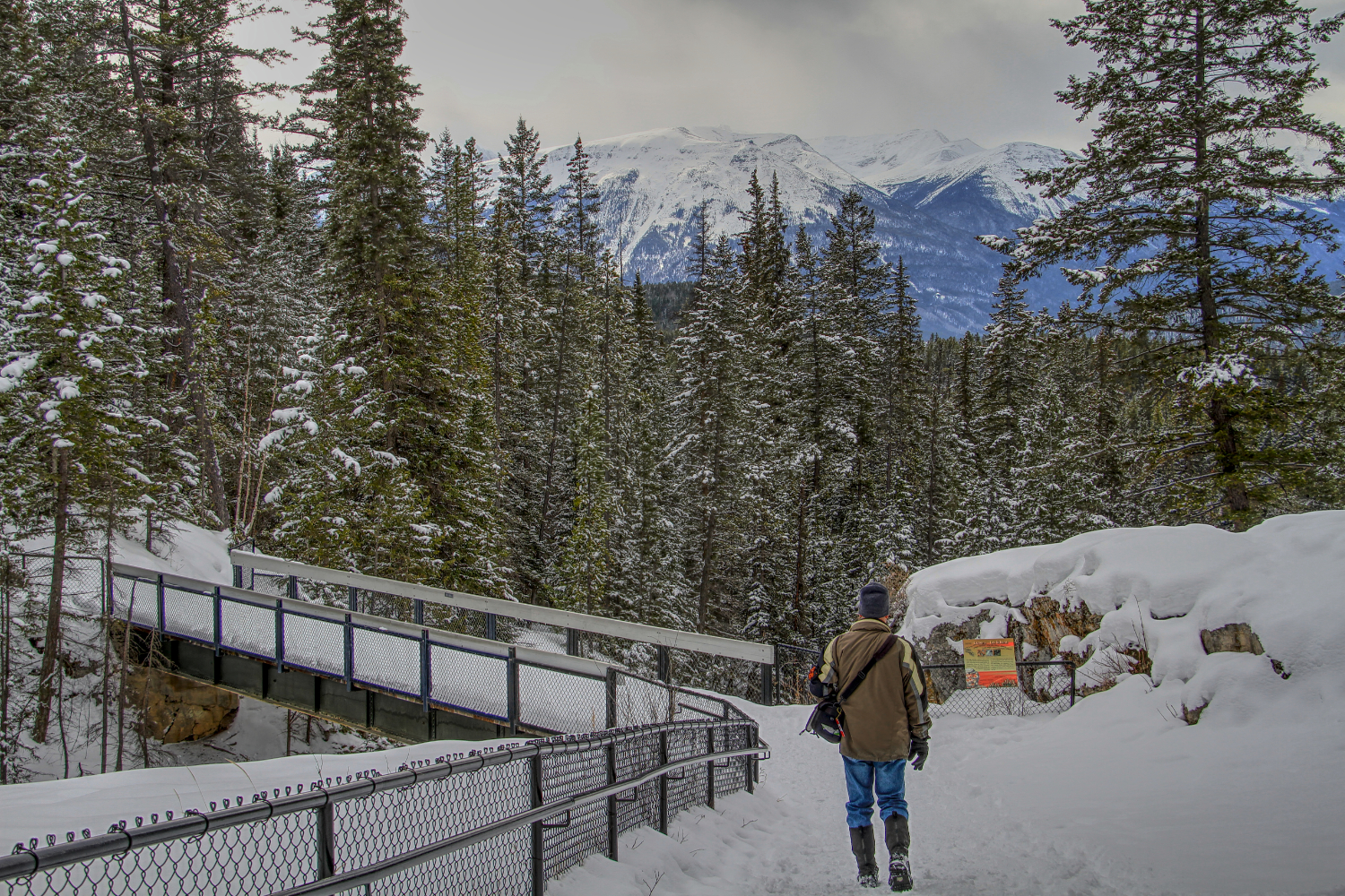 Hike the bottom of Maligne Canyon