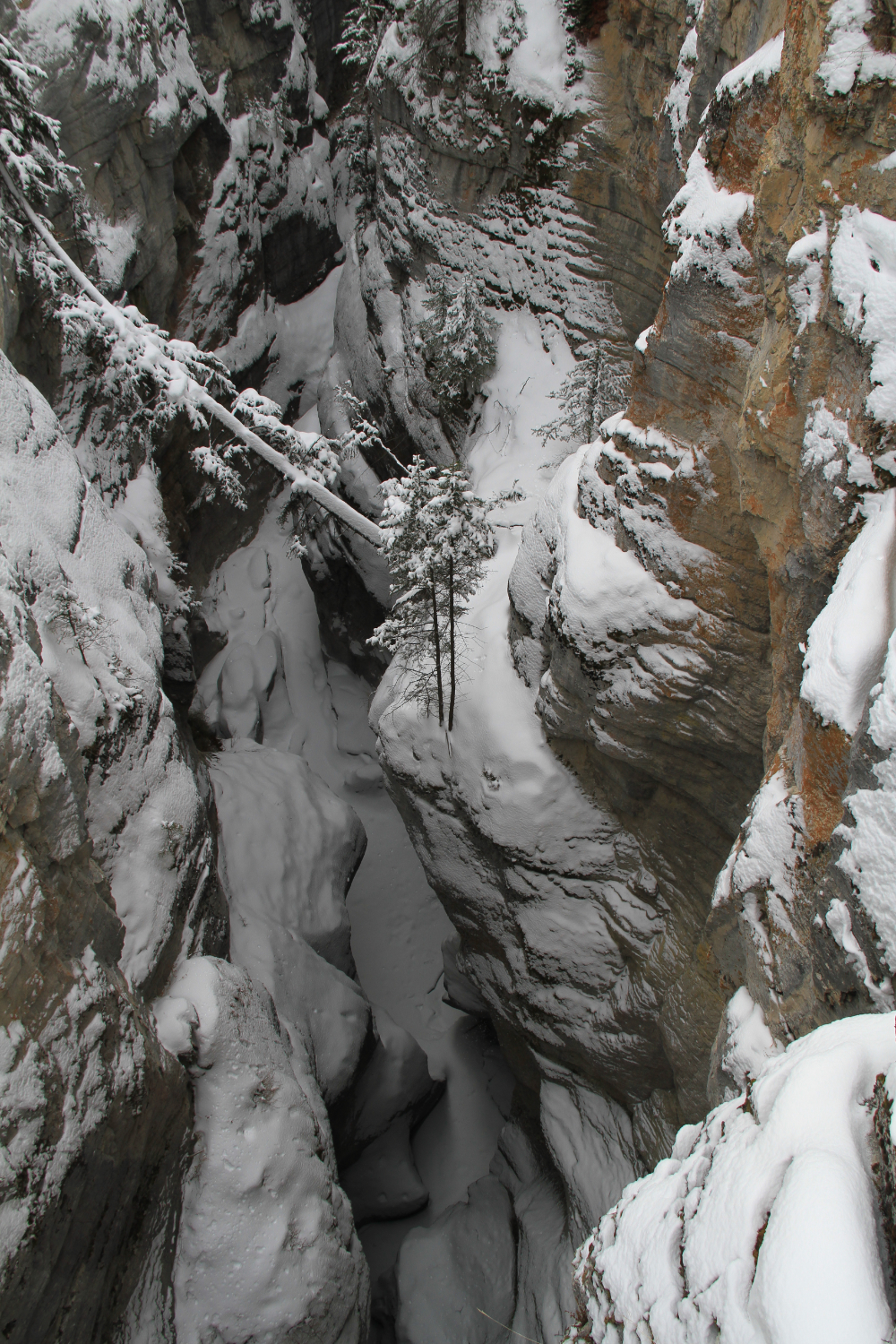Hike the bottom of Maligne Canyon