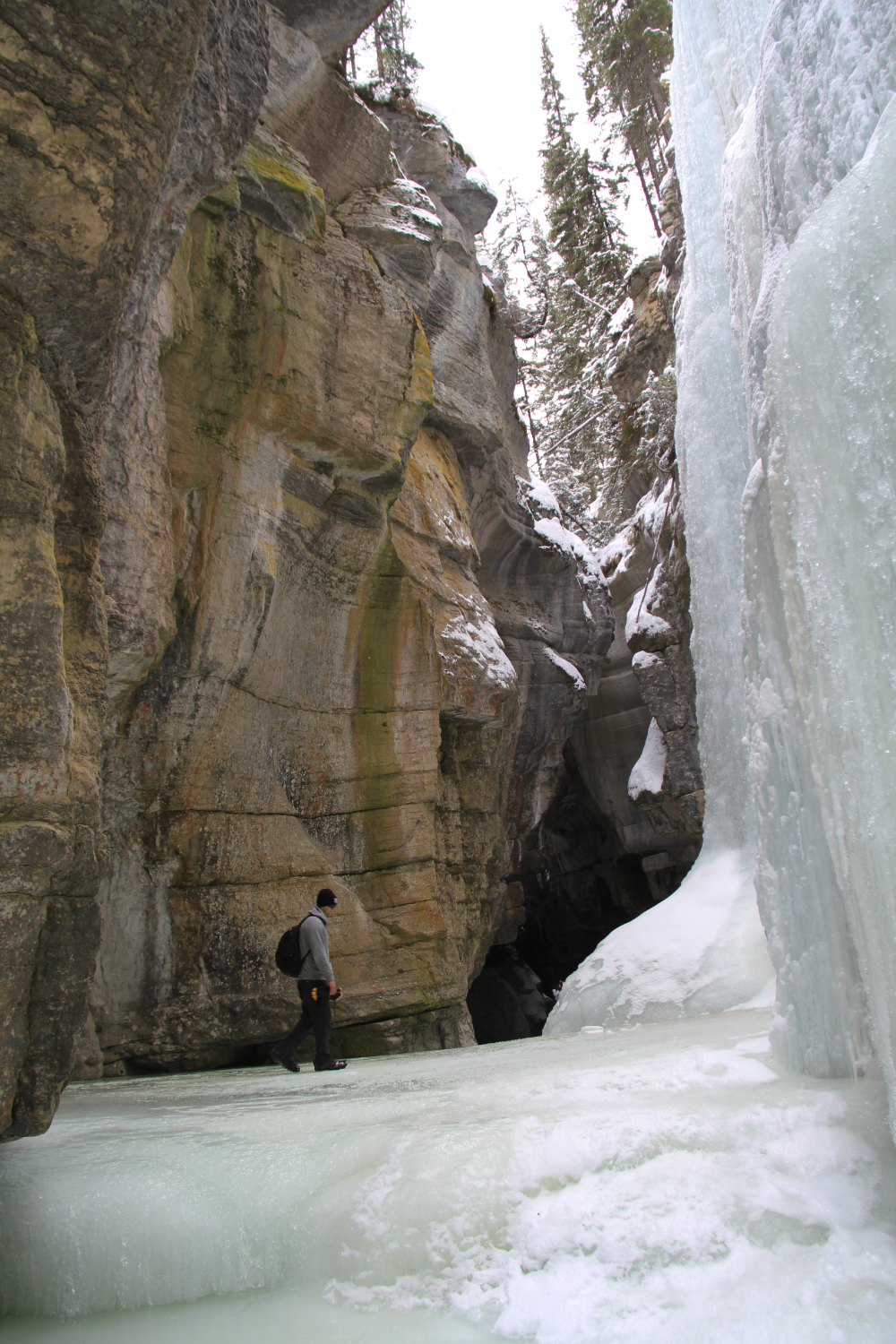 Hike the bottom of Maligne Canyon