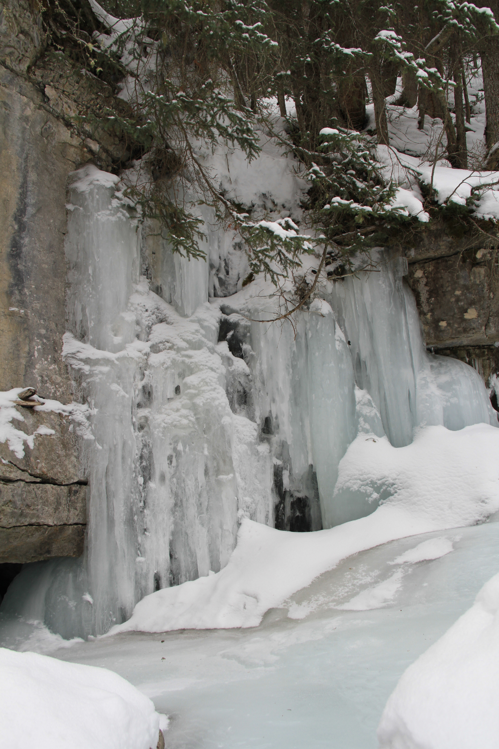 Hike the bottom of Maligne Canyon