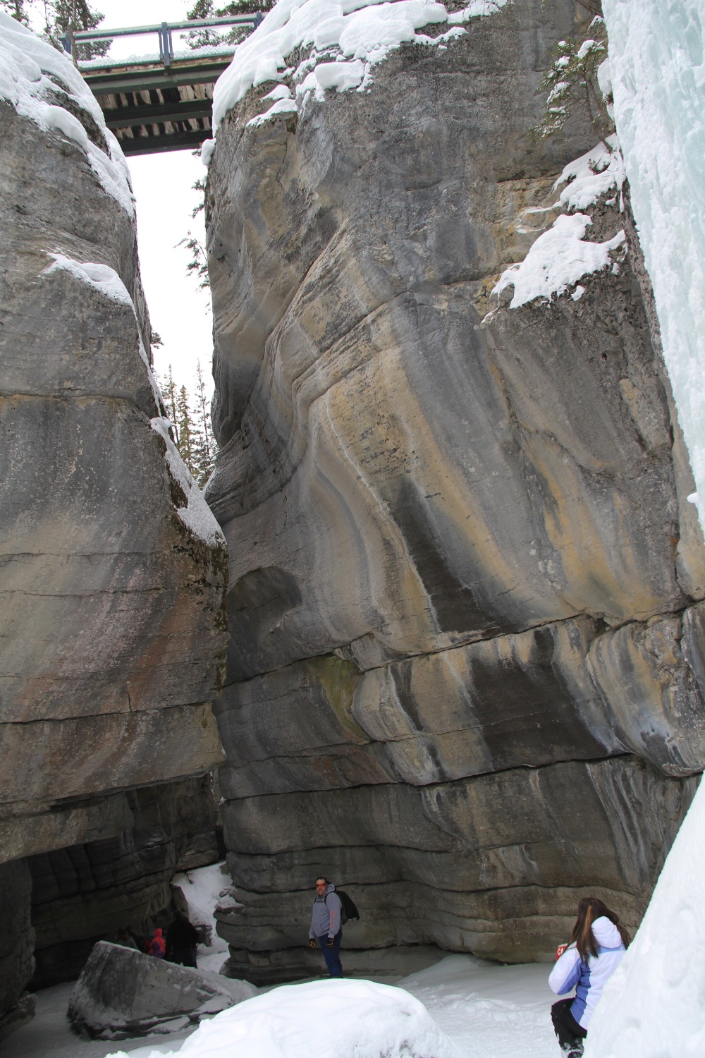 Hike the bottom of Maligne Canyon