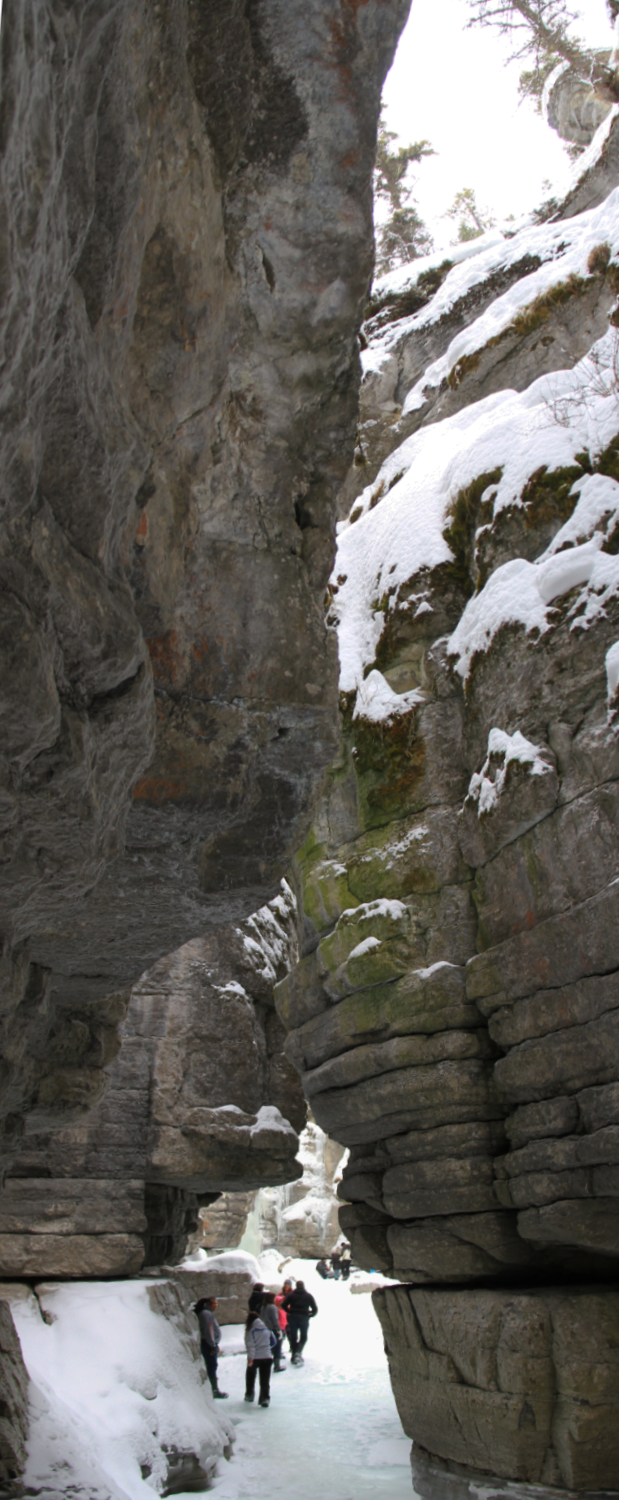 Hike the bottom of Maligne Canyon