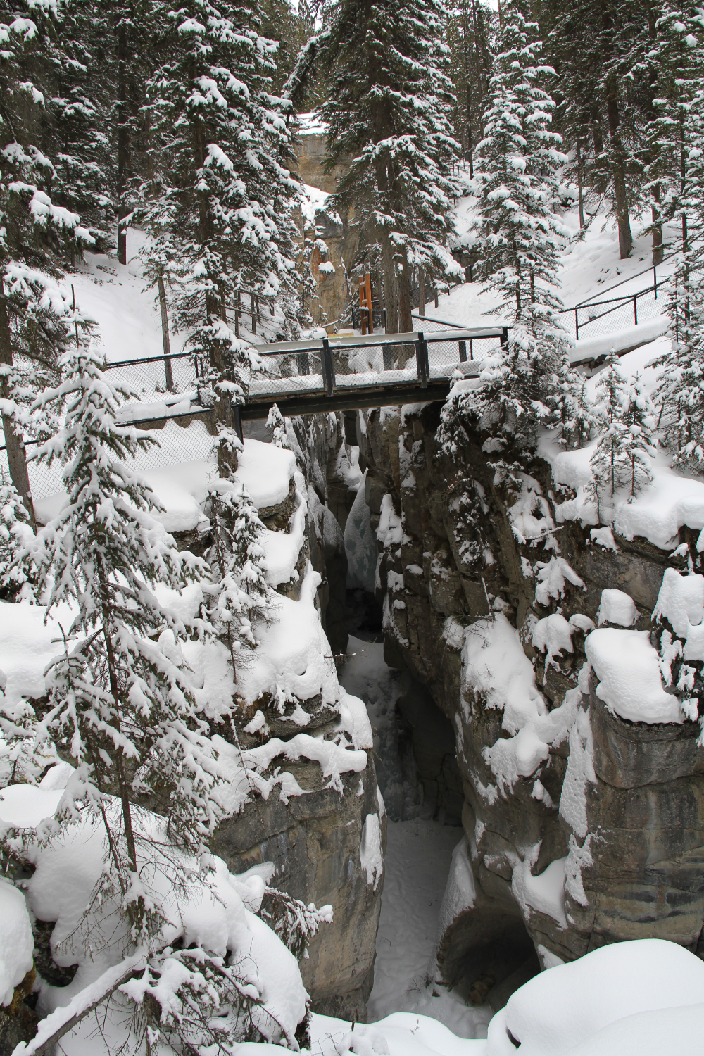 Hike the bottom of Maligne Canyon