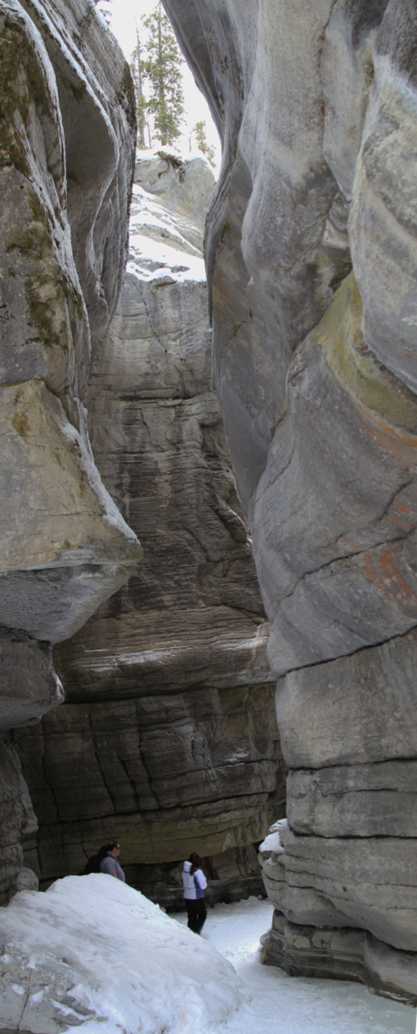 Hike the bottom of Maligne Canyon