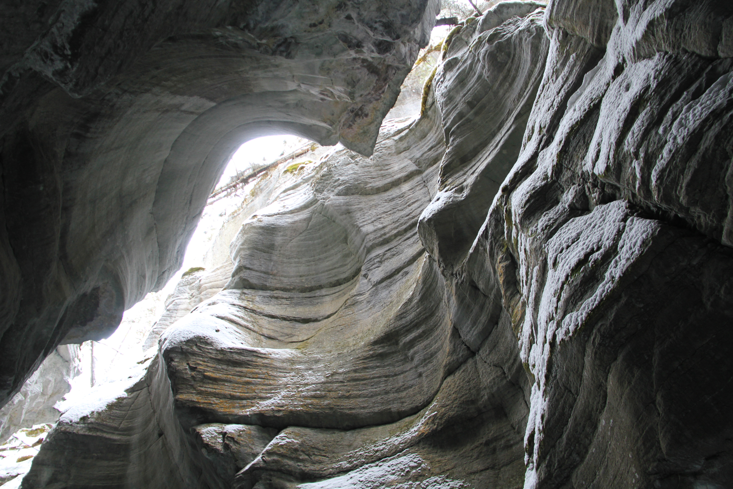 Hike the bottom of Maligne Canyon