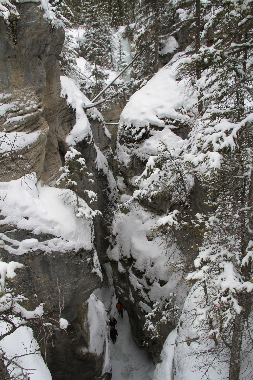 Hike the bottom of Maligne Canyon