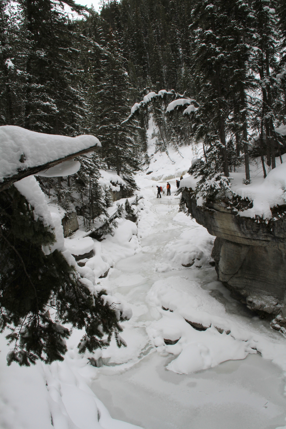 Hike the bottom of Maligne Canyon