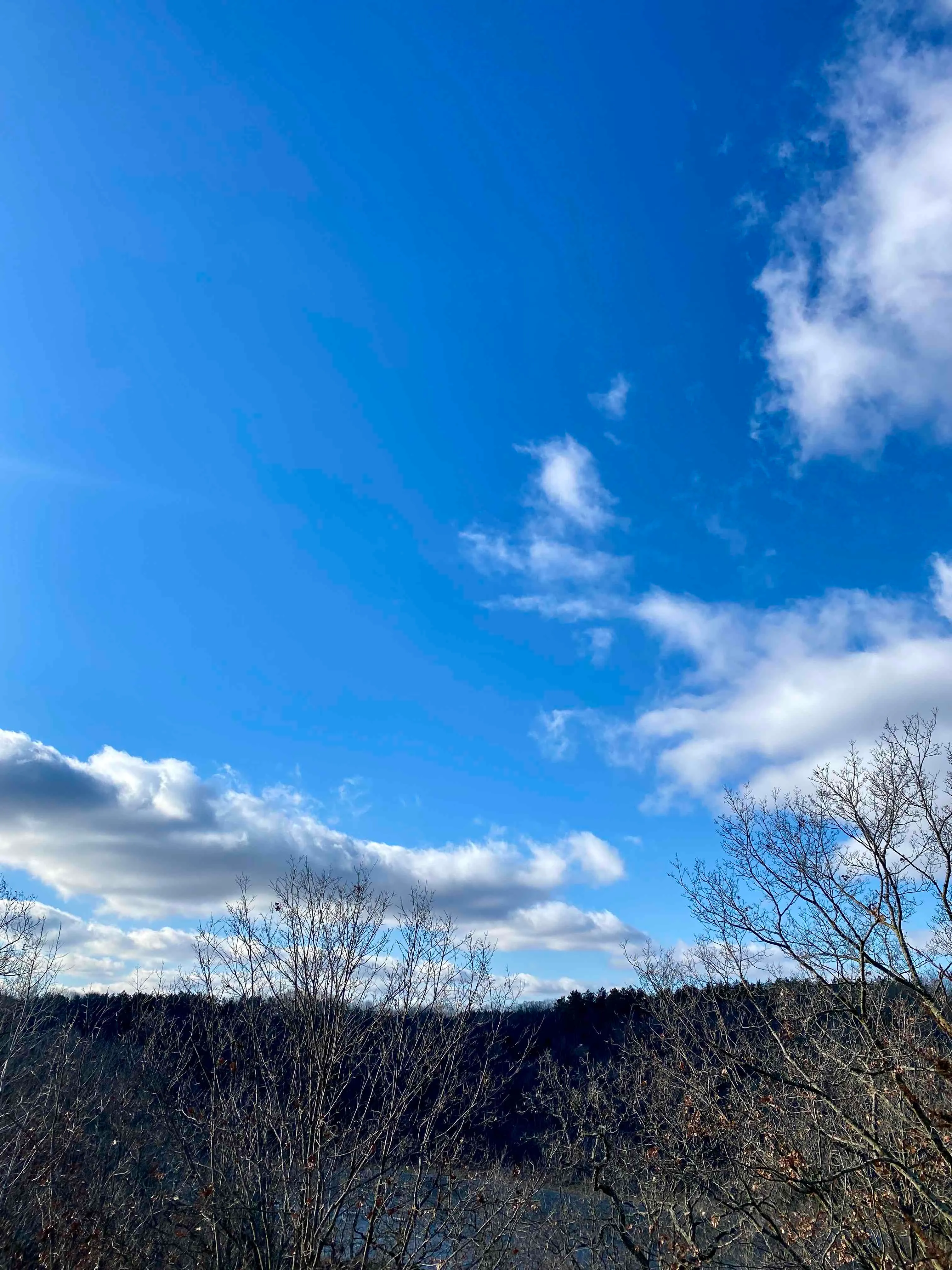 Nordic Trail Blue Loop