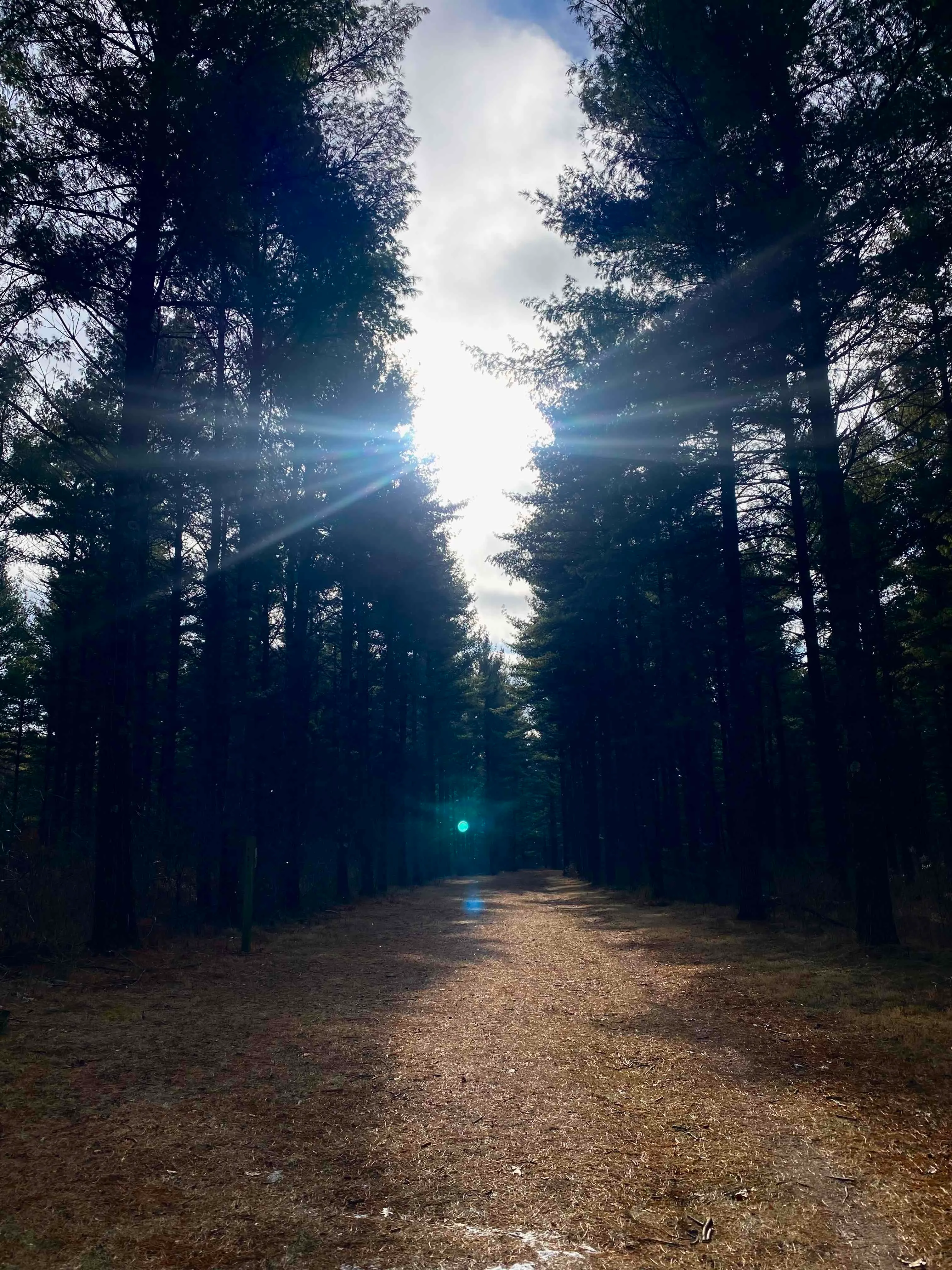 Nordic Trail Blue Loop