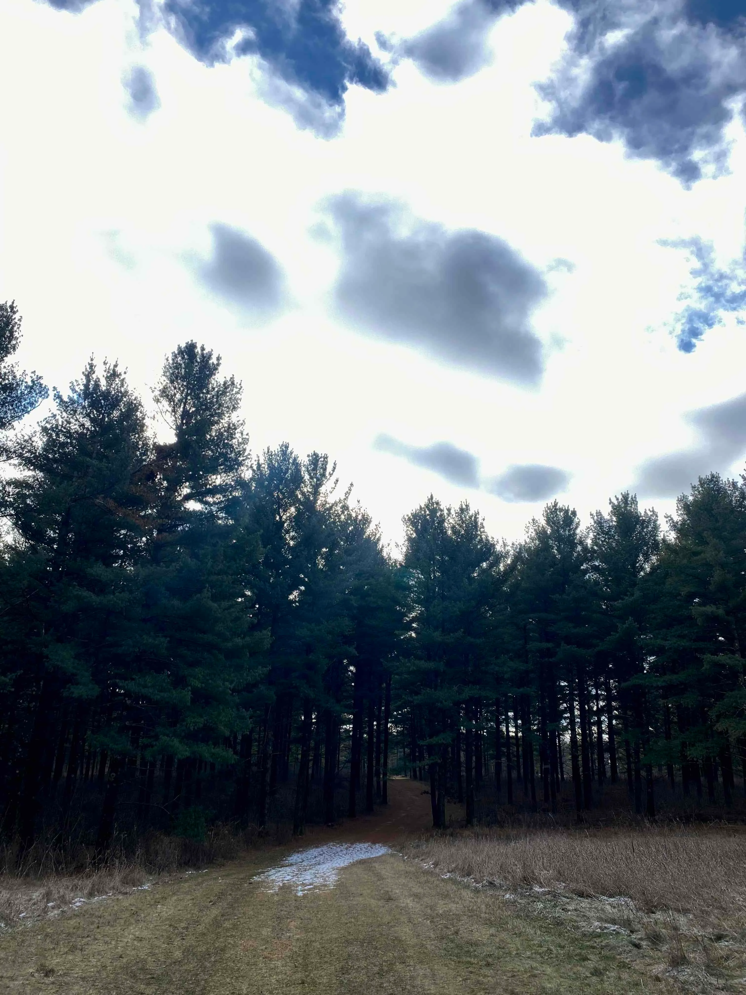 Nordic Trail Blue Loop
