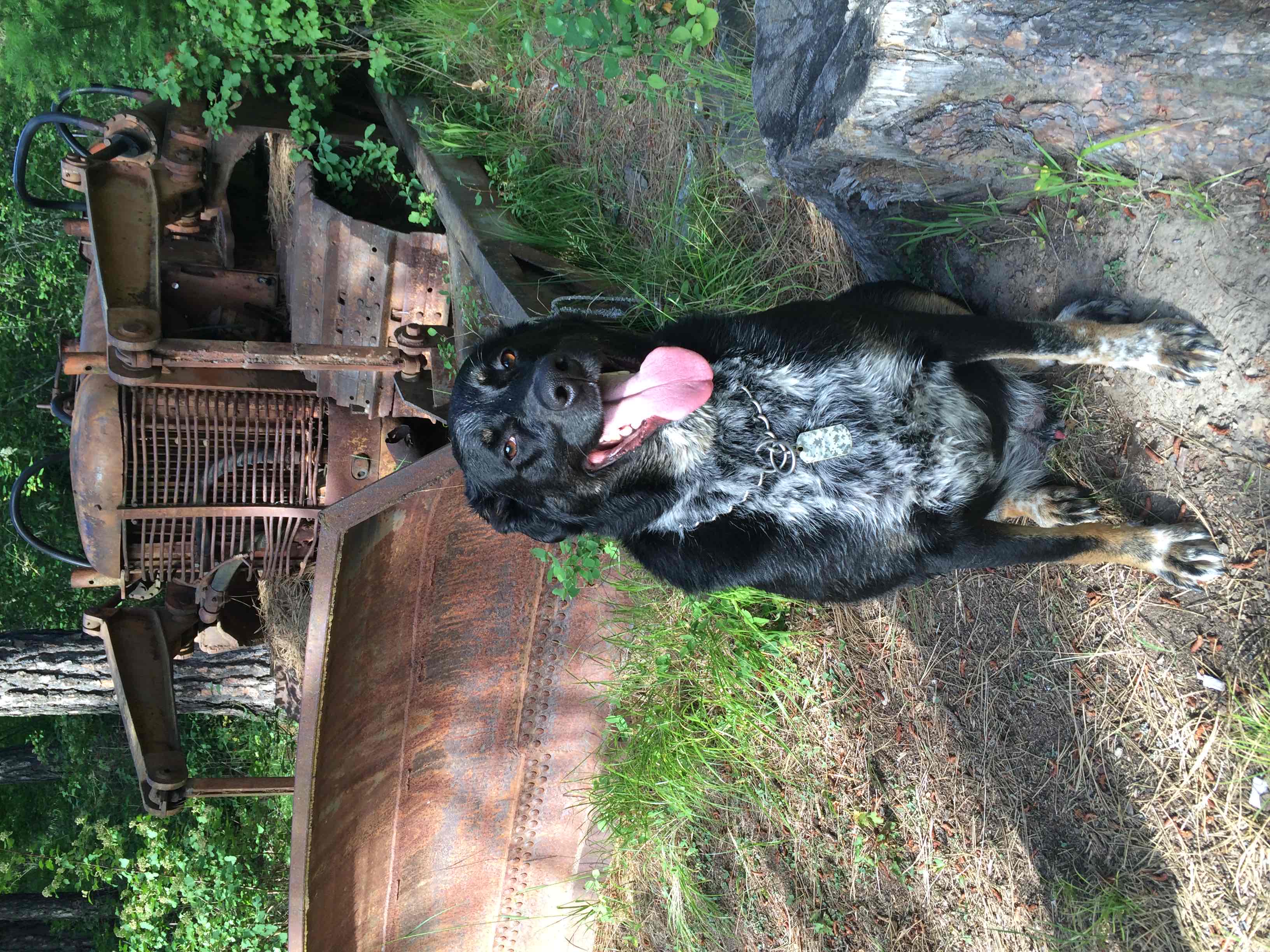 John Pointner Memorial Wildlife Sanctuary Trail